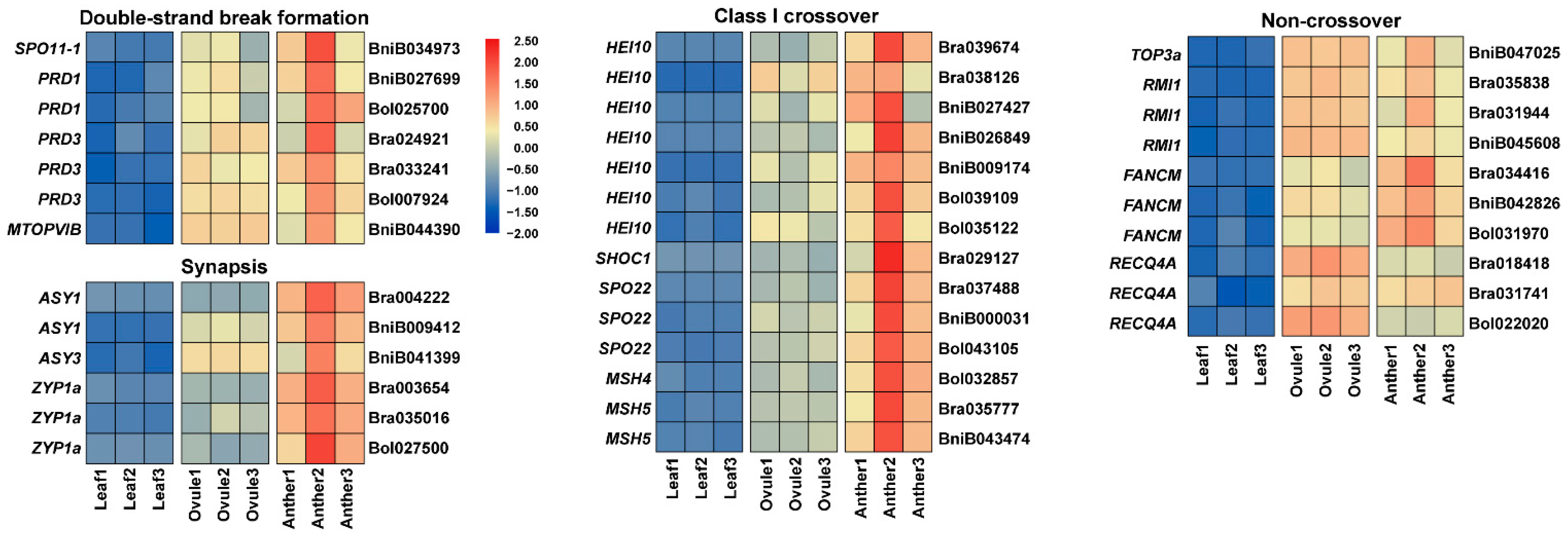 Plants 11 01556 g003