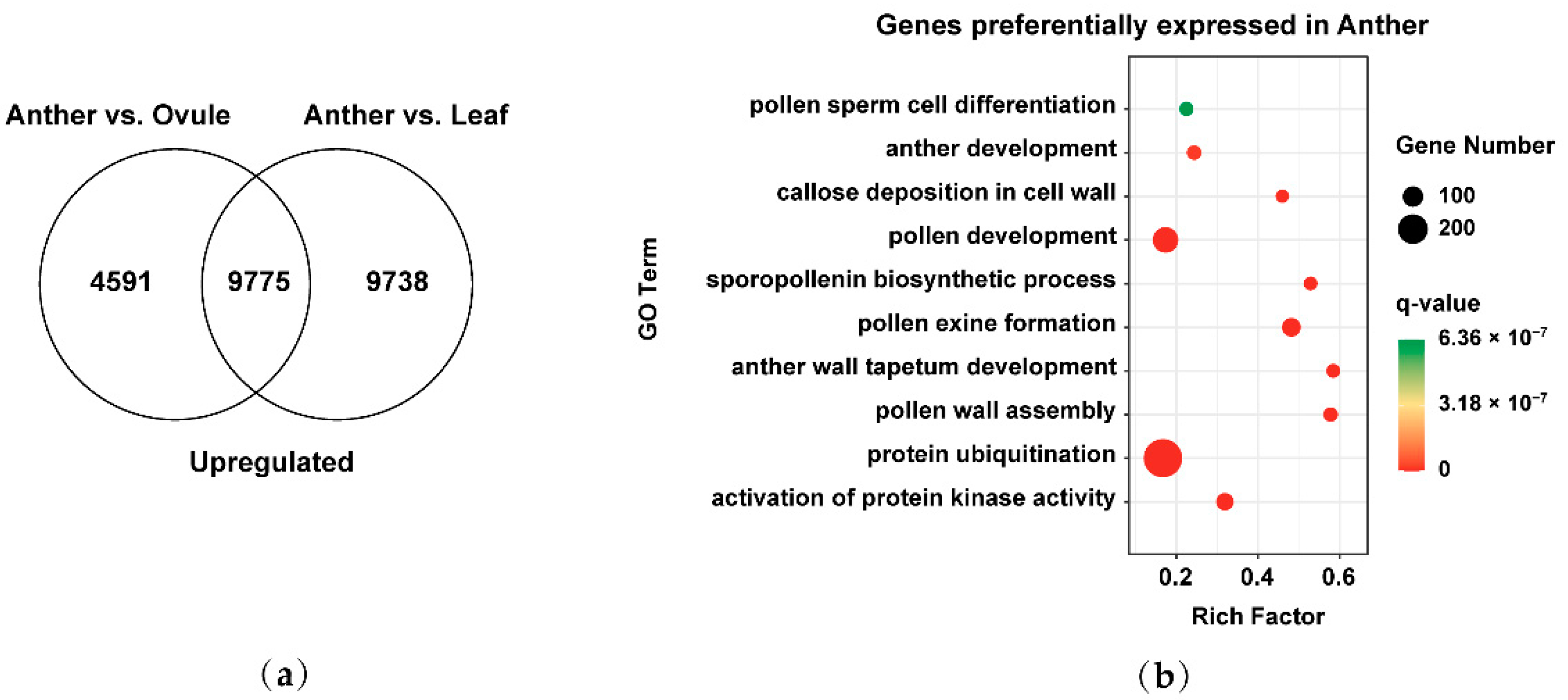 Plants 11 01556 g004