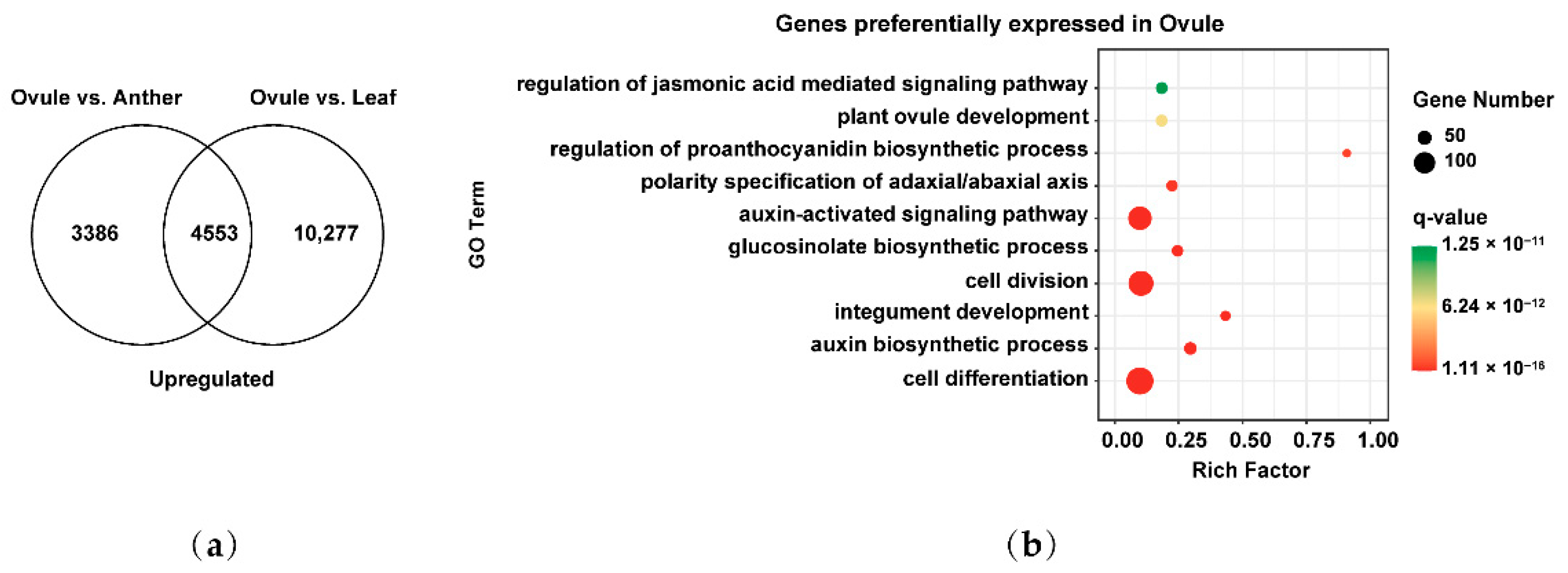 Plants 11 01556 g006