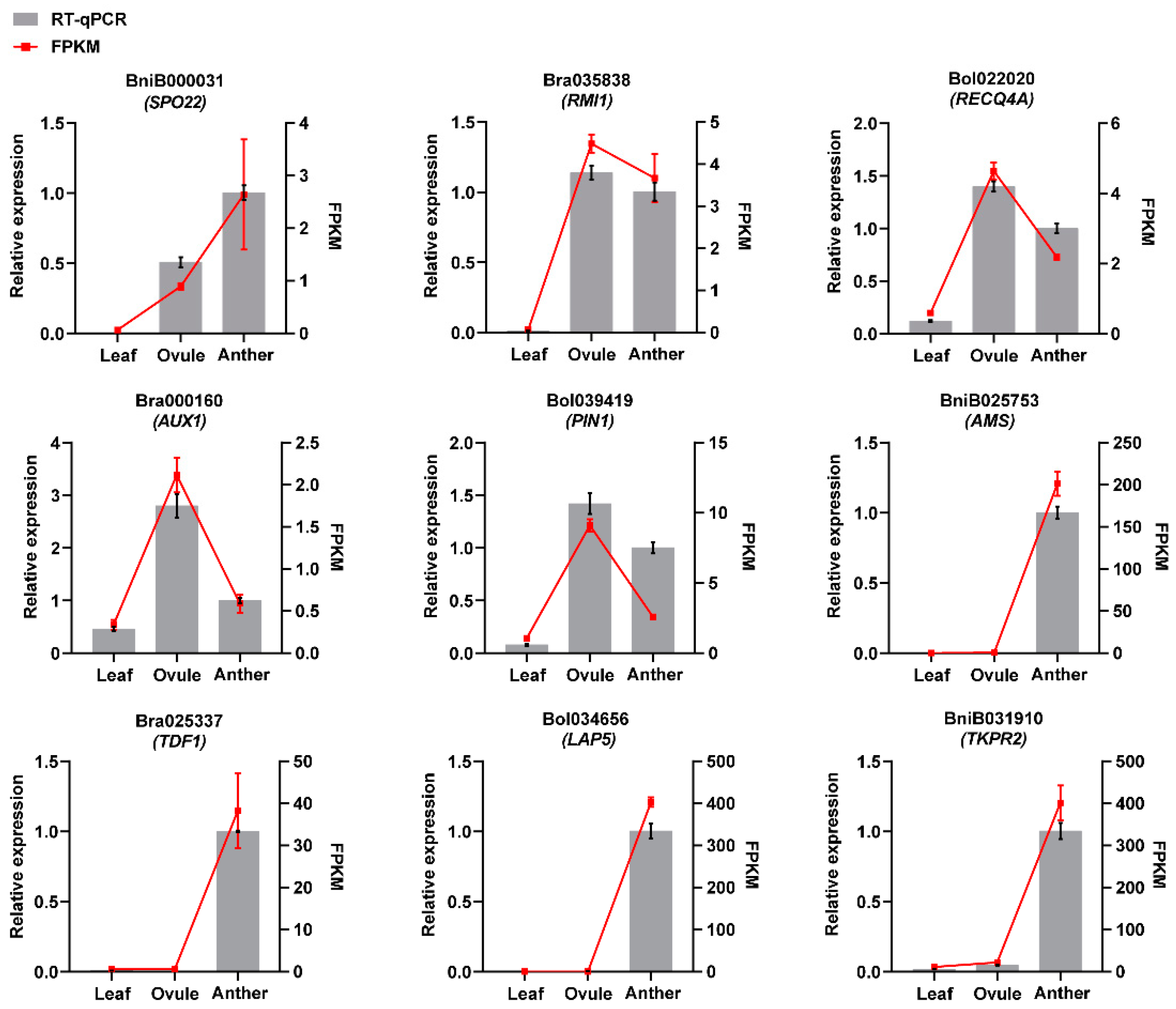 Plants 11 01556 g008