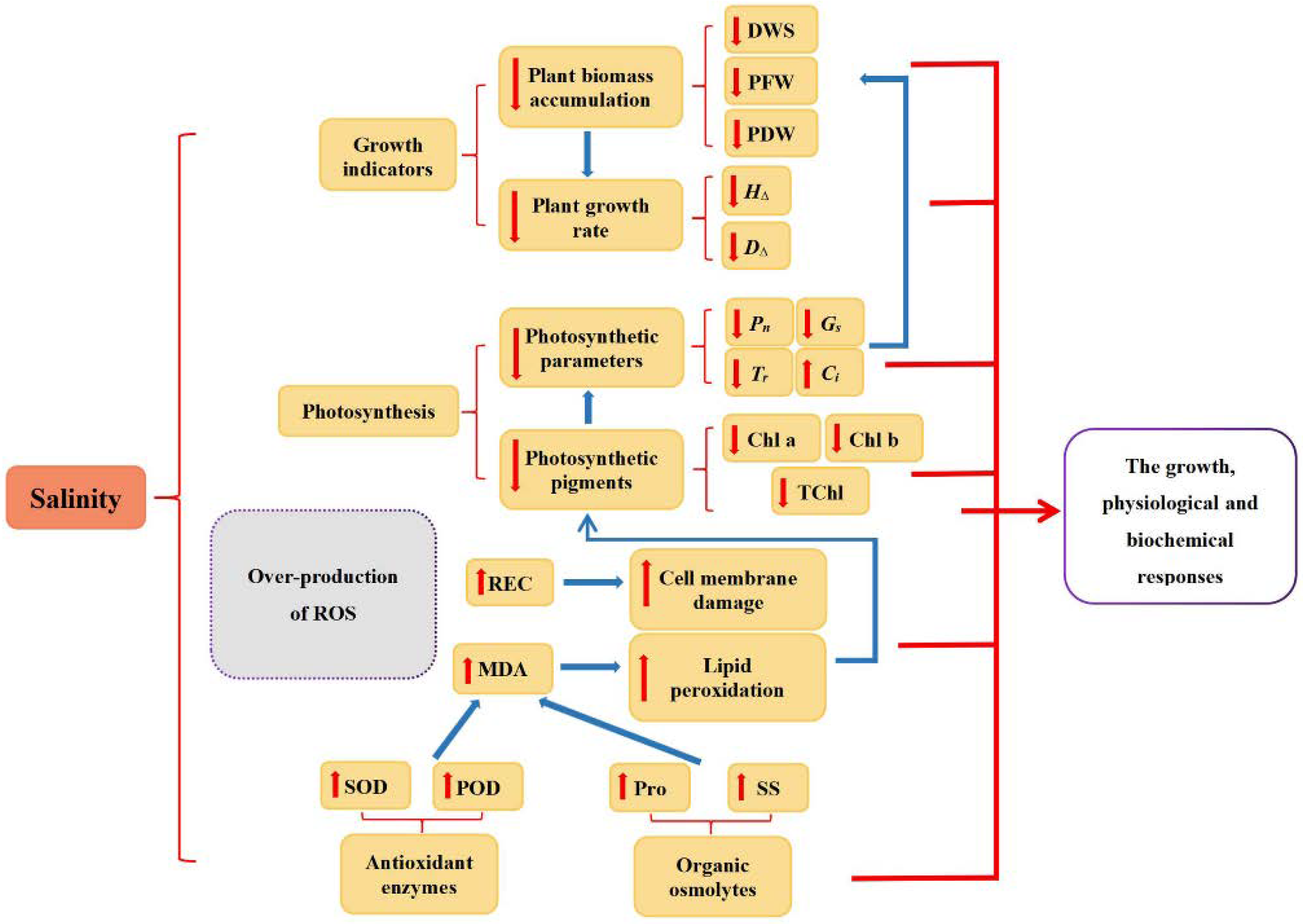 Plants 11 01557 g009