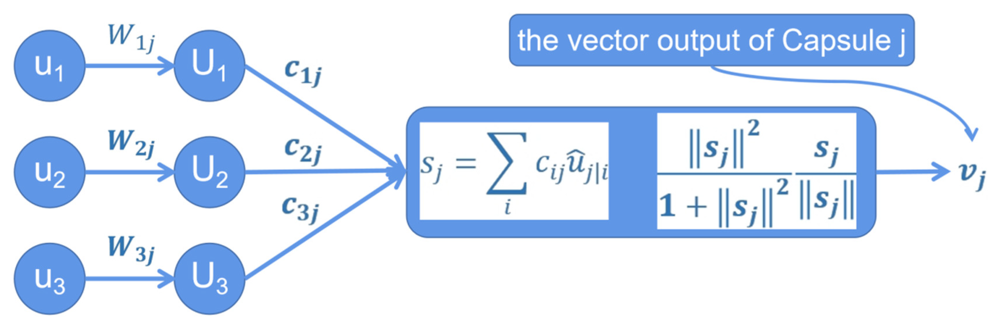 Plants 11 01573 g010