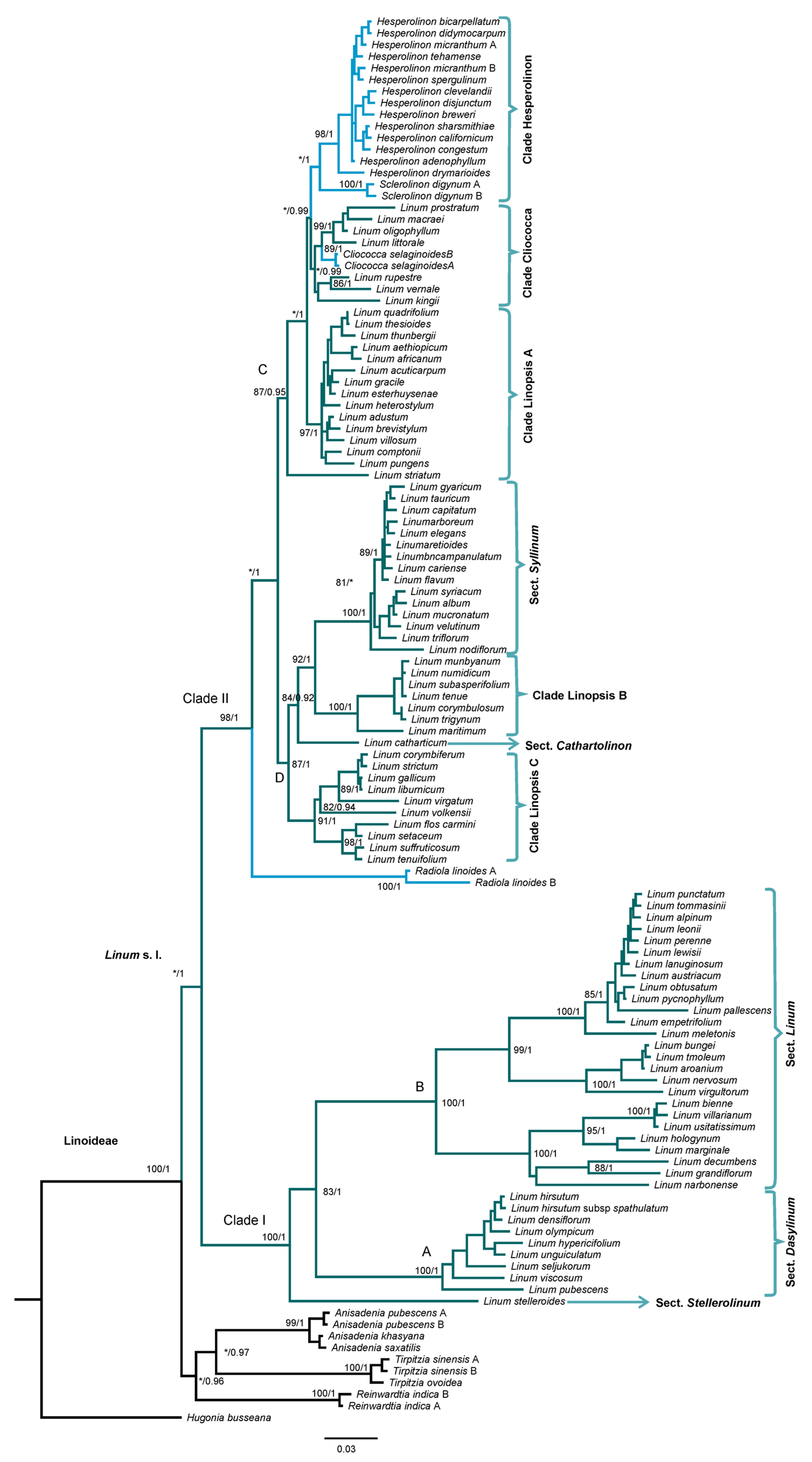 Plants 11 01579 g001