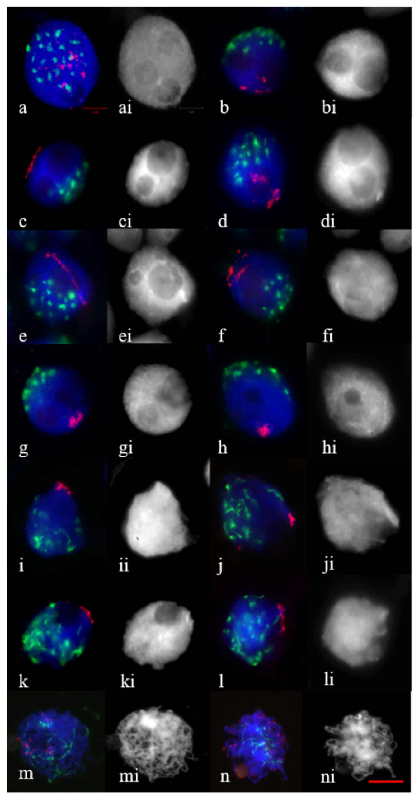 Plants 11 01582 g001 Plants 11 01582 g001