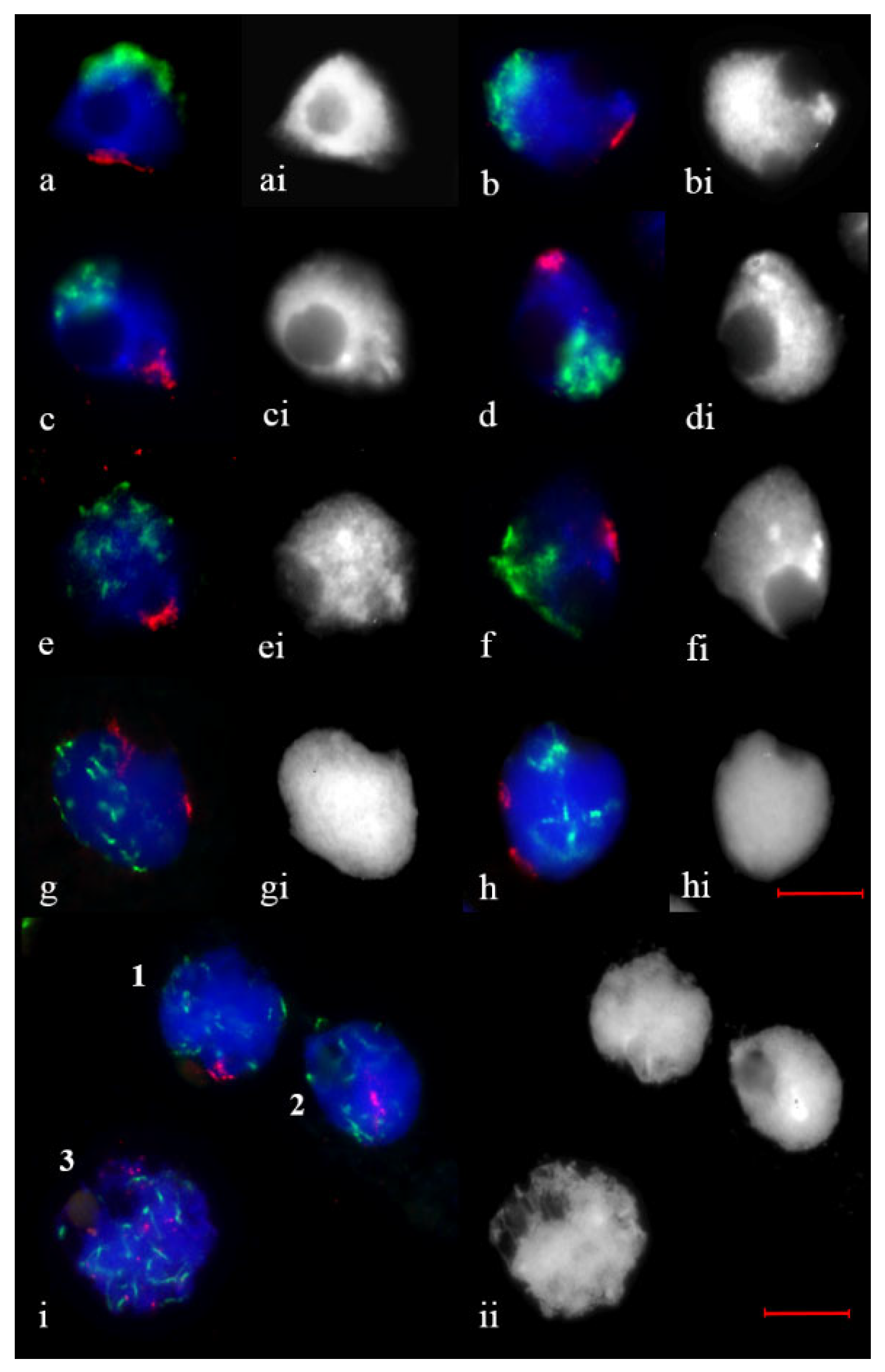 Plants 11 01582 g002 Plants 11 01582 g002