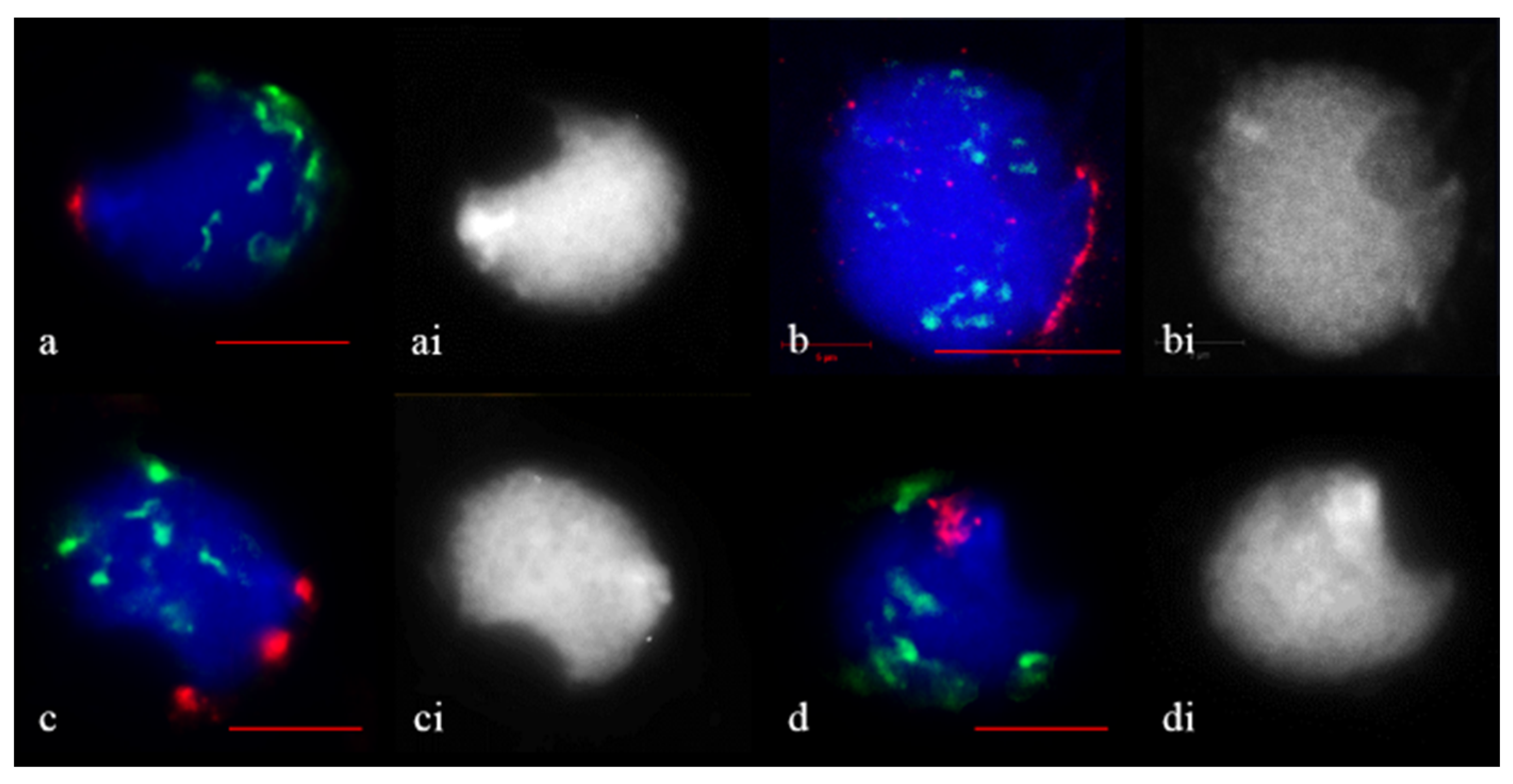 Plants 11 01582 g003 Plants 11 01582 g003