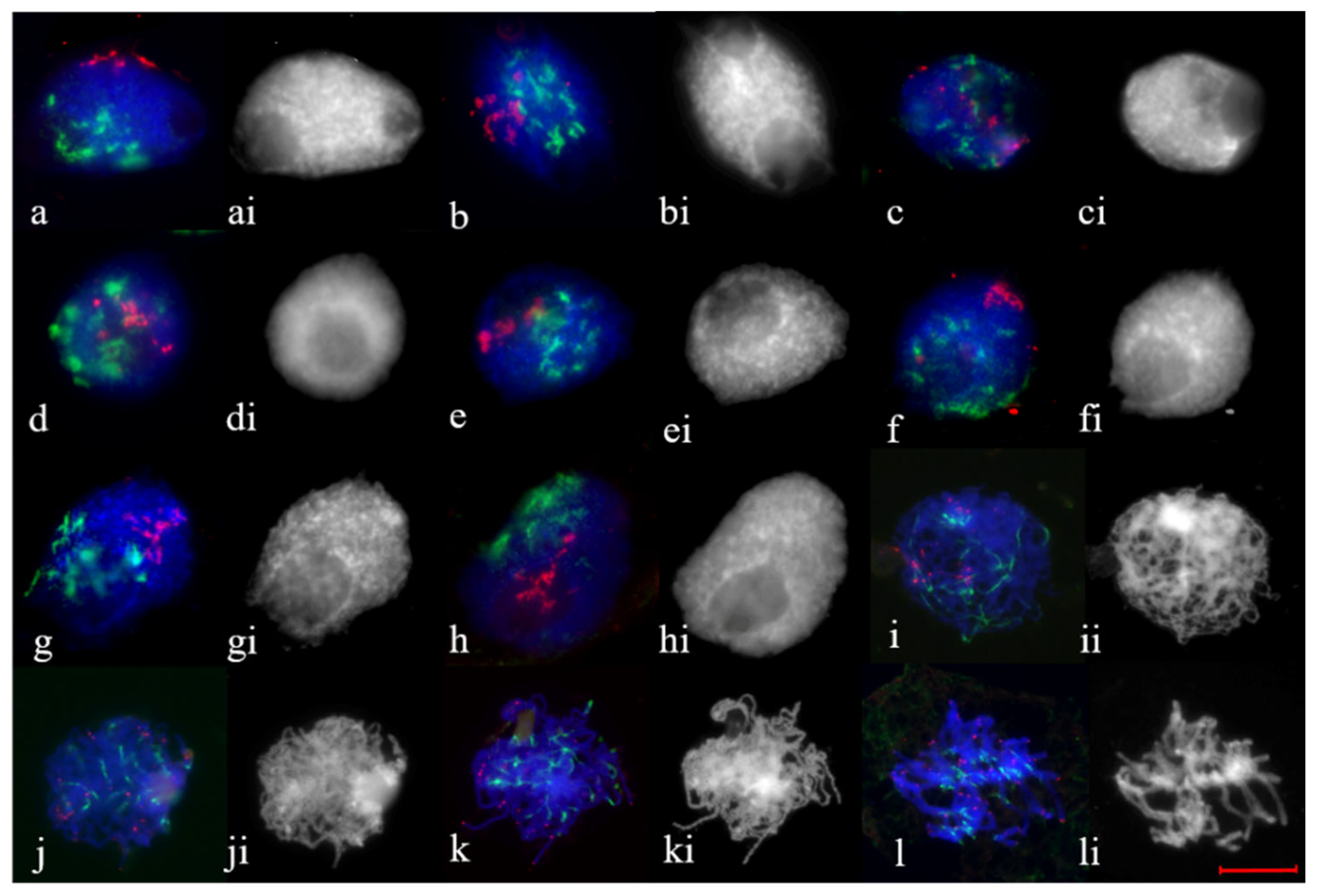 Plants 11 01582 g004 Plants 11 01582 g004