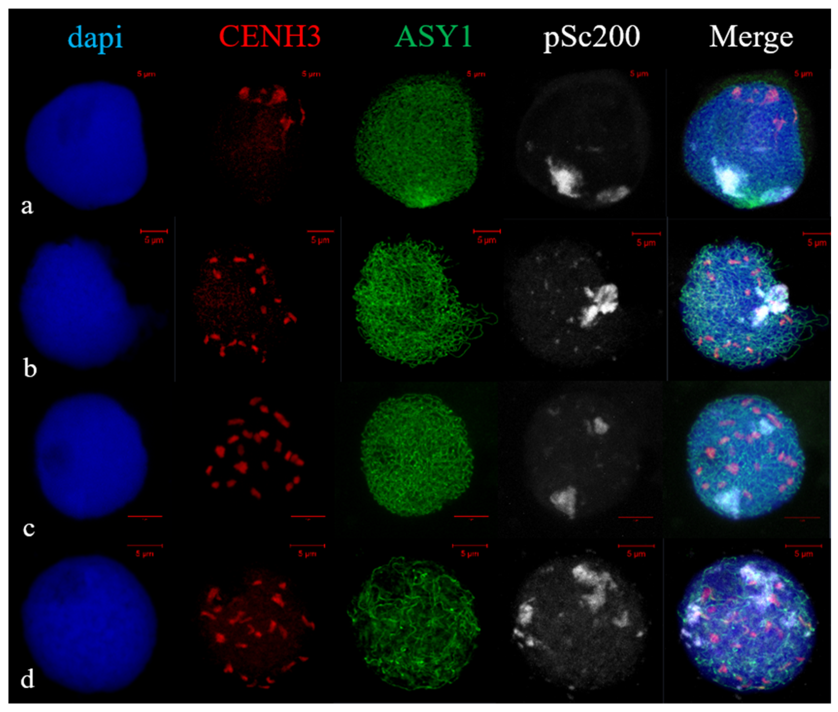 Plants 11 01582 g005 Plants 11 01582 g005