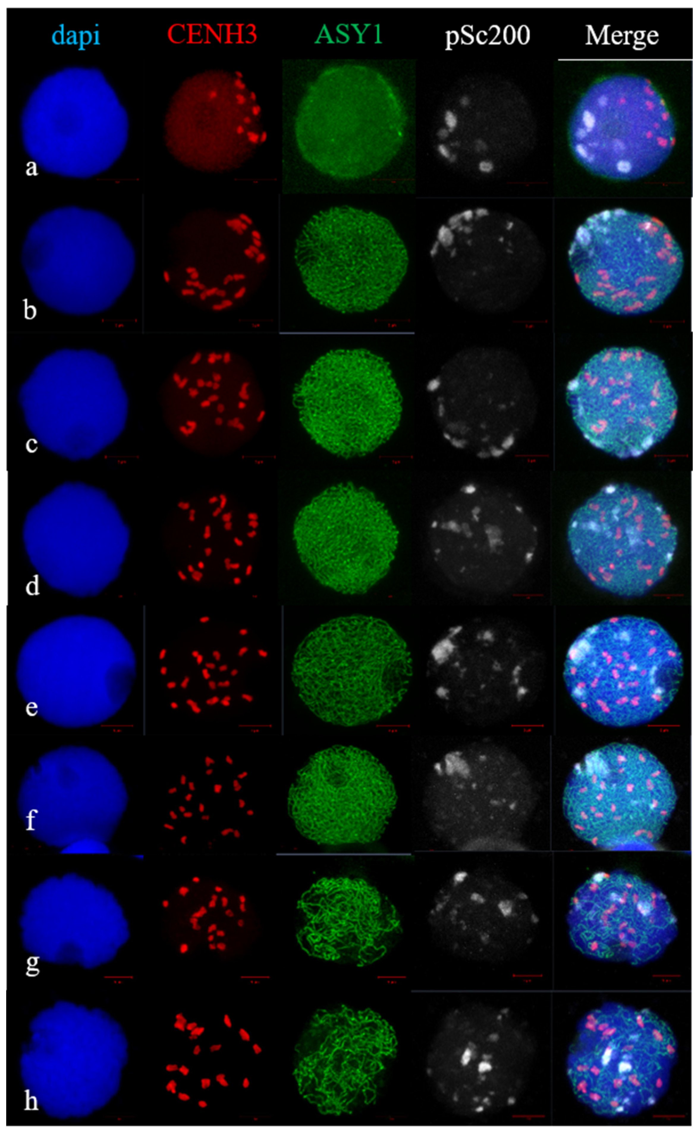 Plants 11 01582 g006 Plants 11 01582 g006