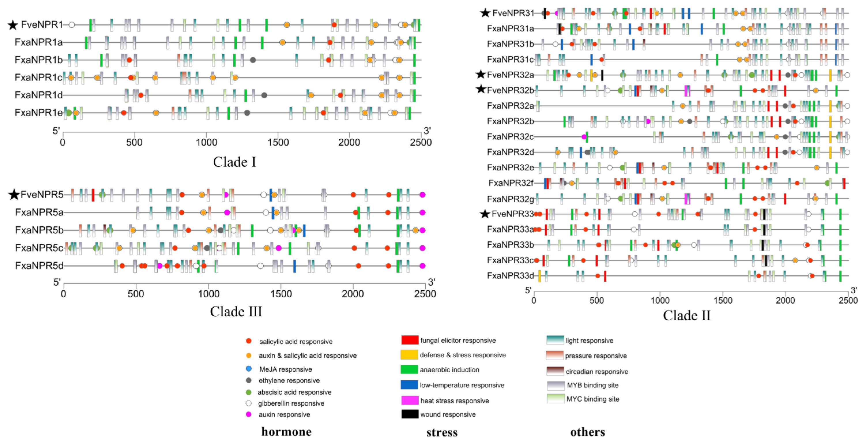 Plants 11 01589 g005