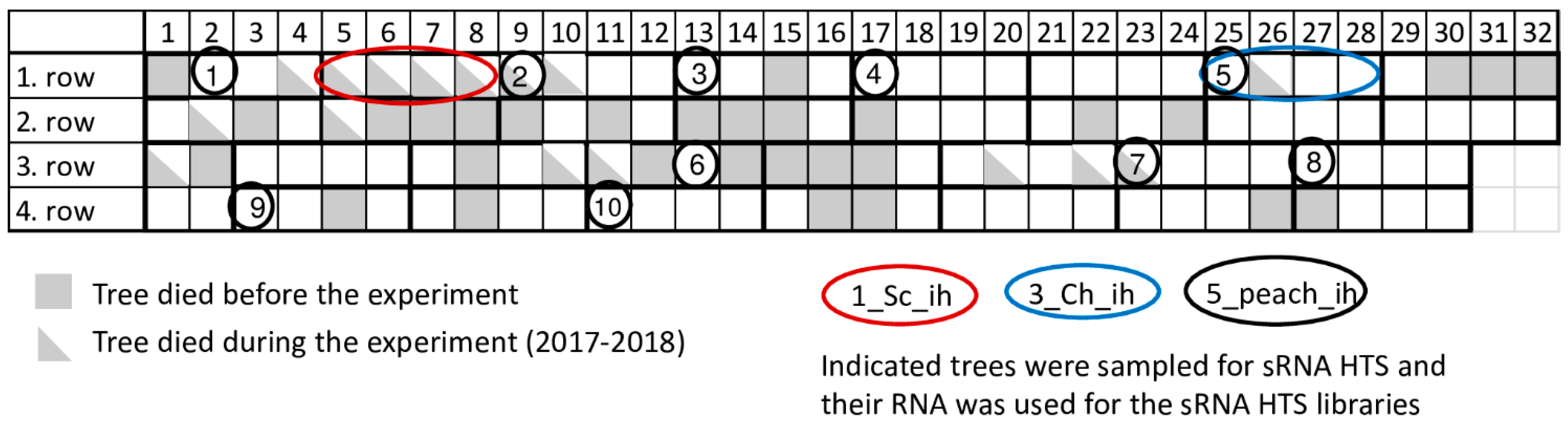 Plants 11 01591 g001