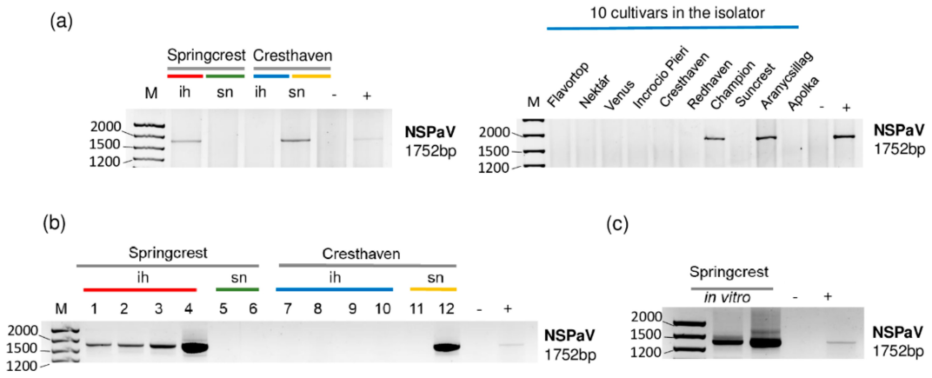 Plants 11 01591 g004