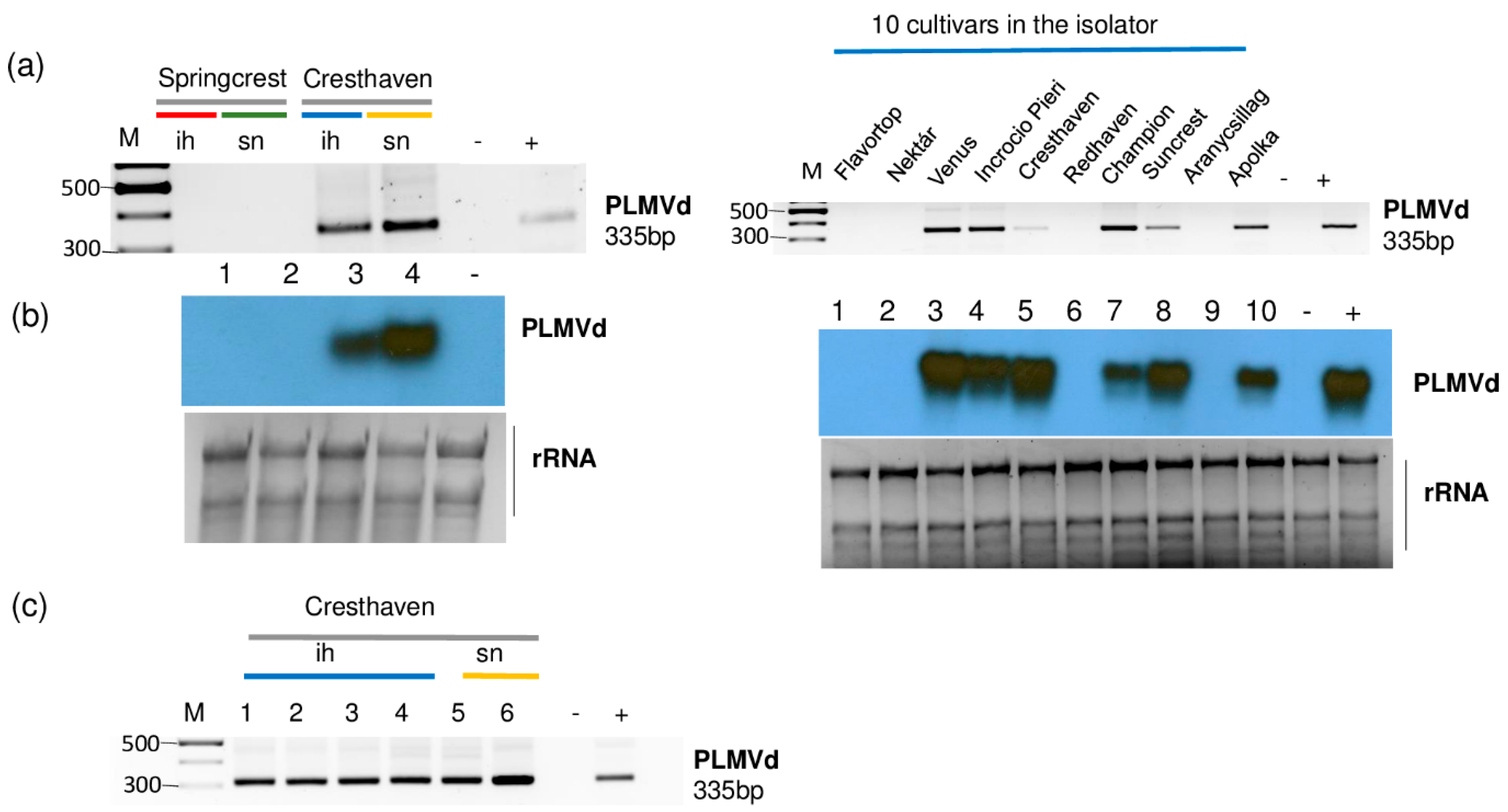 Plants 11 01591 g008