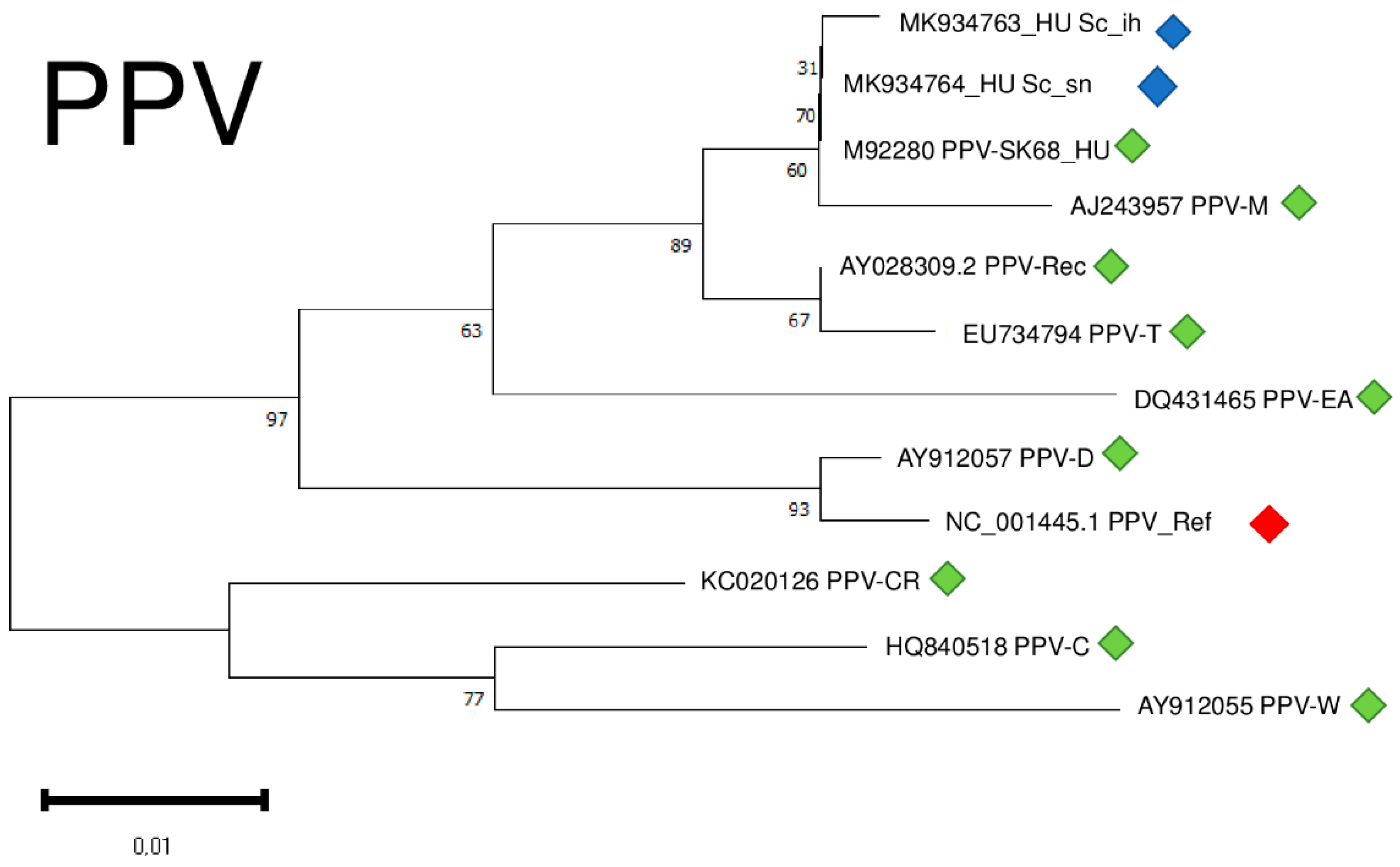 Plants 11 01591 g010