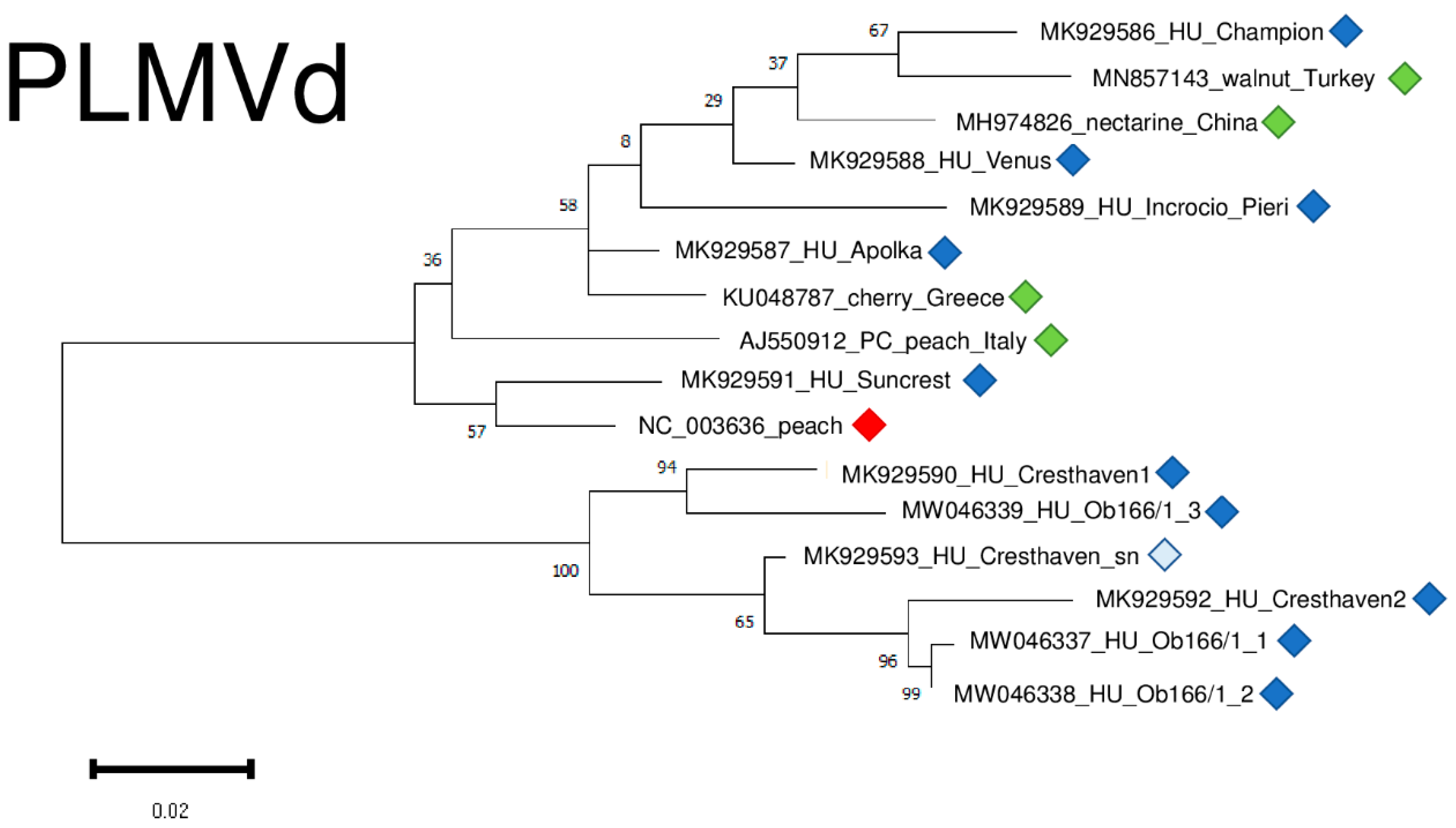 Plants 11 01591 g013