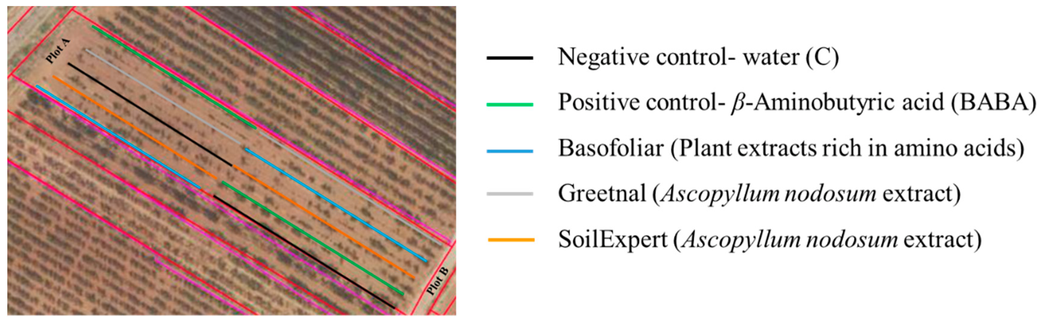 Plants 11 01594 g010