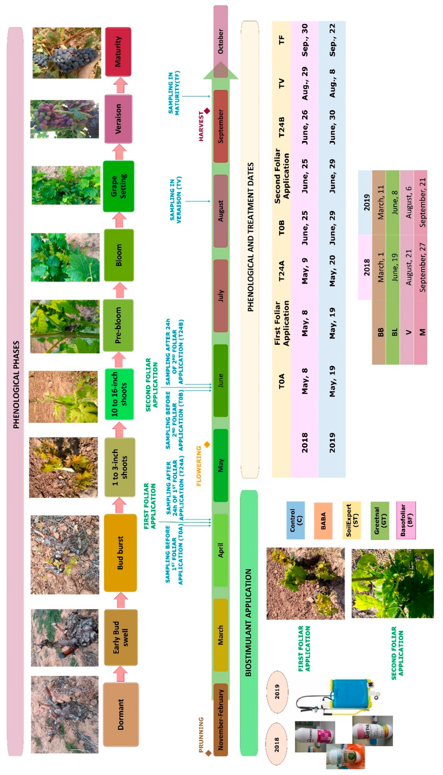Plants 11 01594 sch001