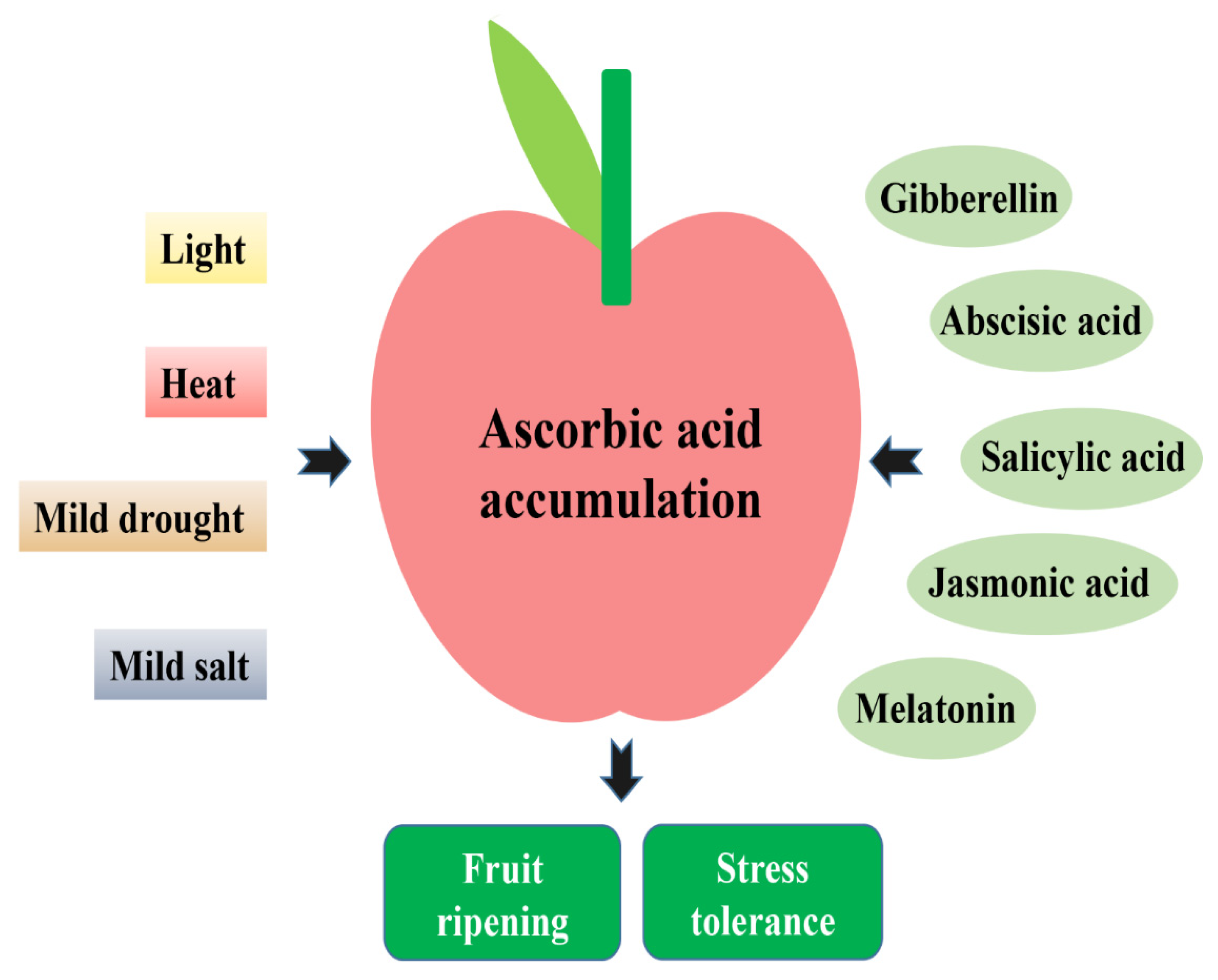 Plants 11 01602 g003