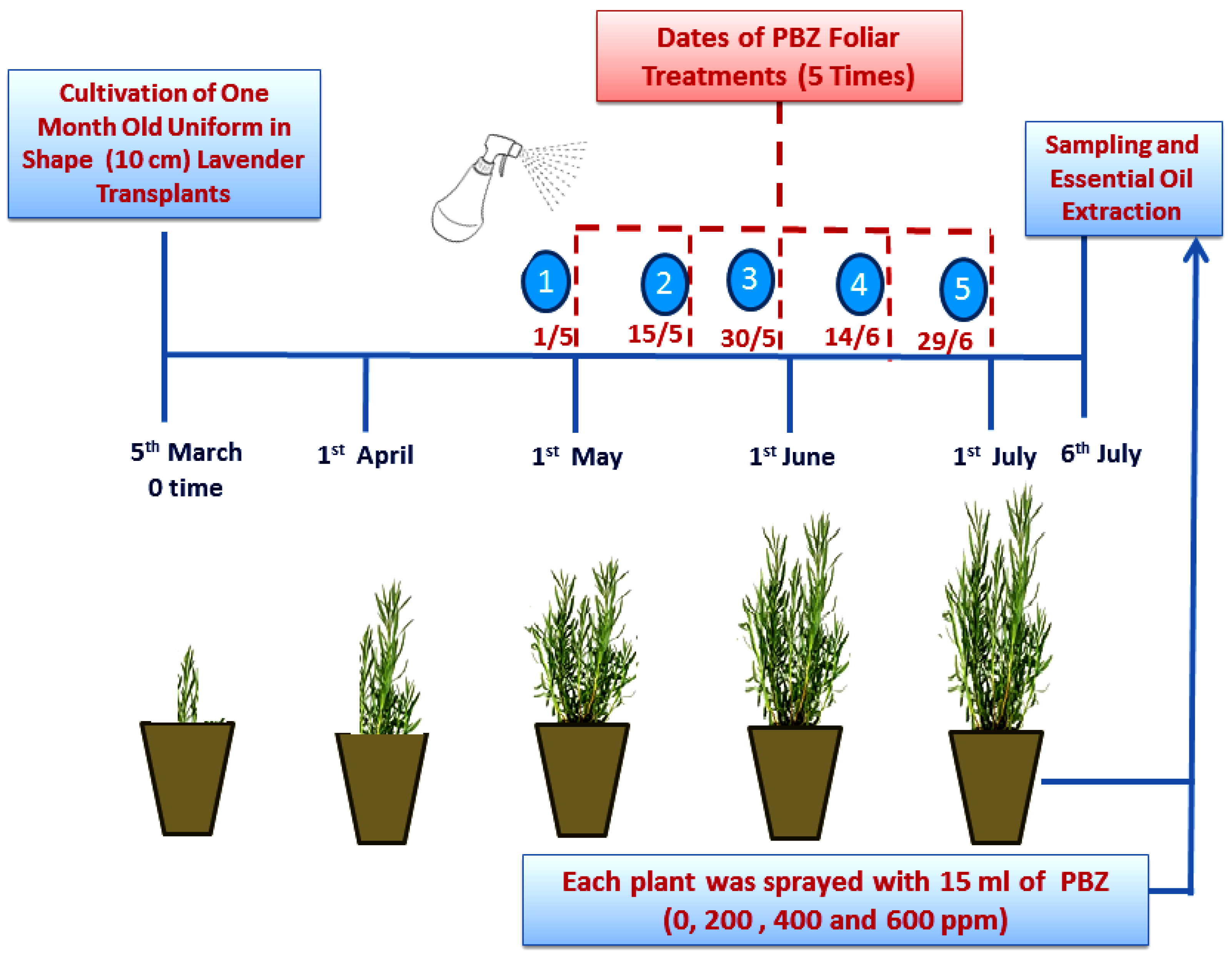 Plants 11 01607 g007