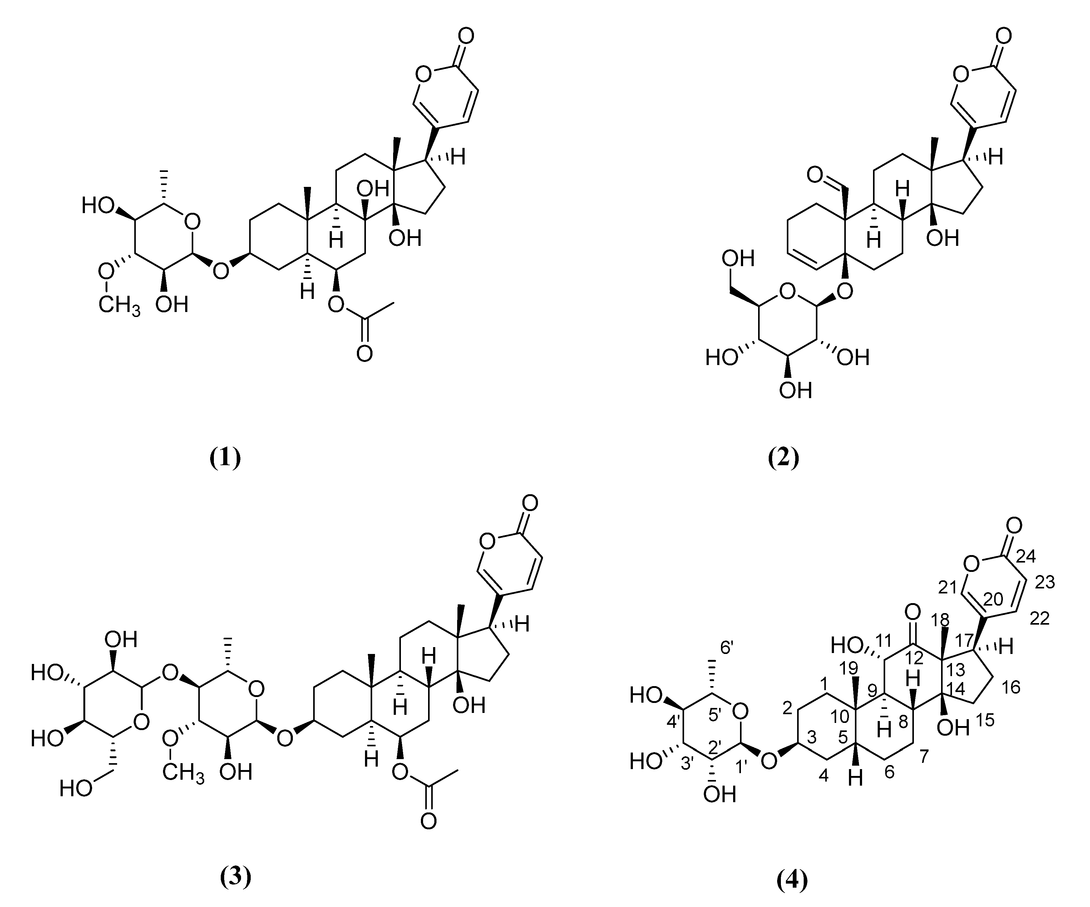 Plants 11 01629 g001