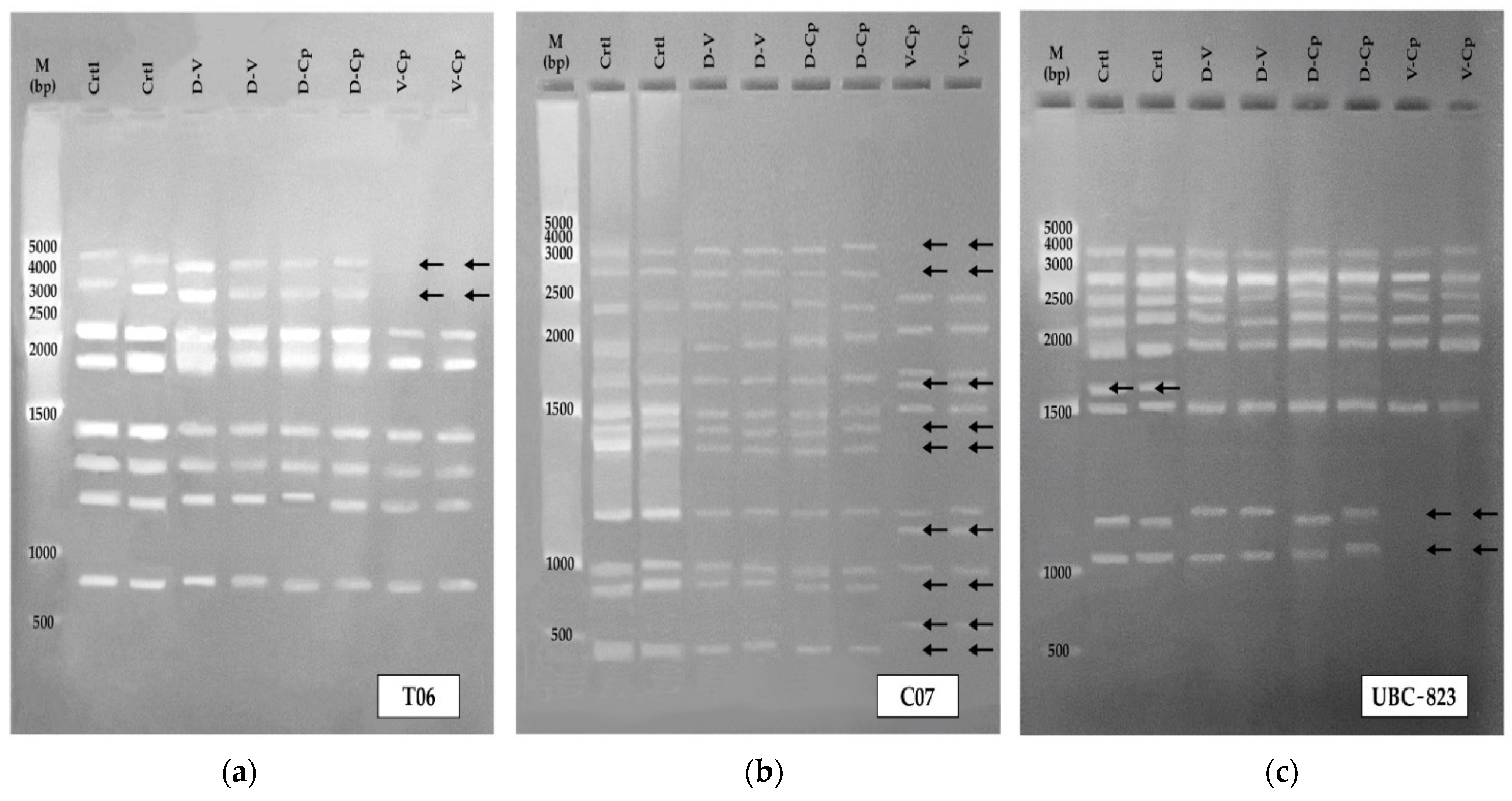 Plants 11 01630 g002