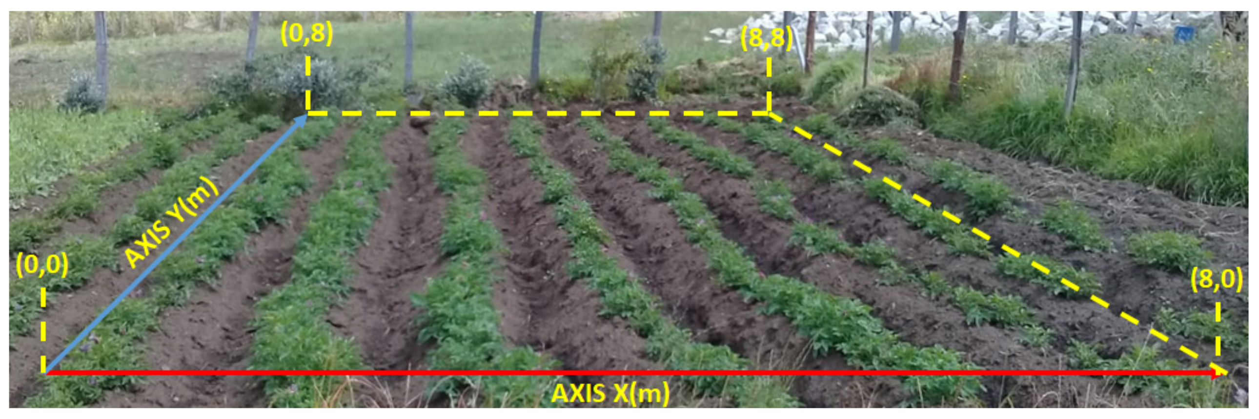 Plants 11 01636 g002