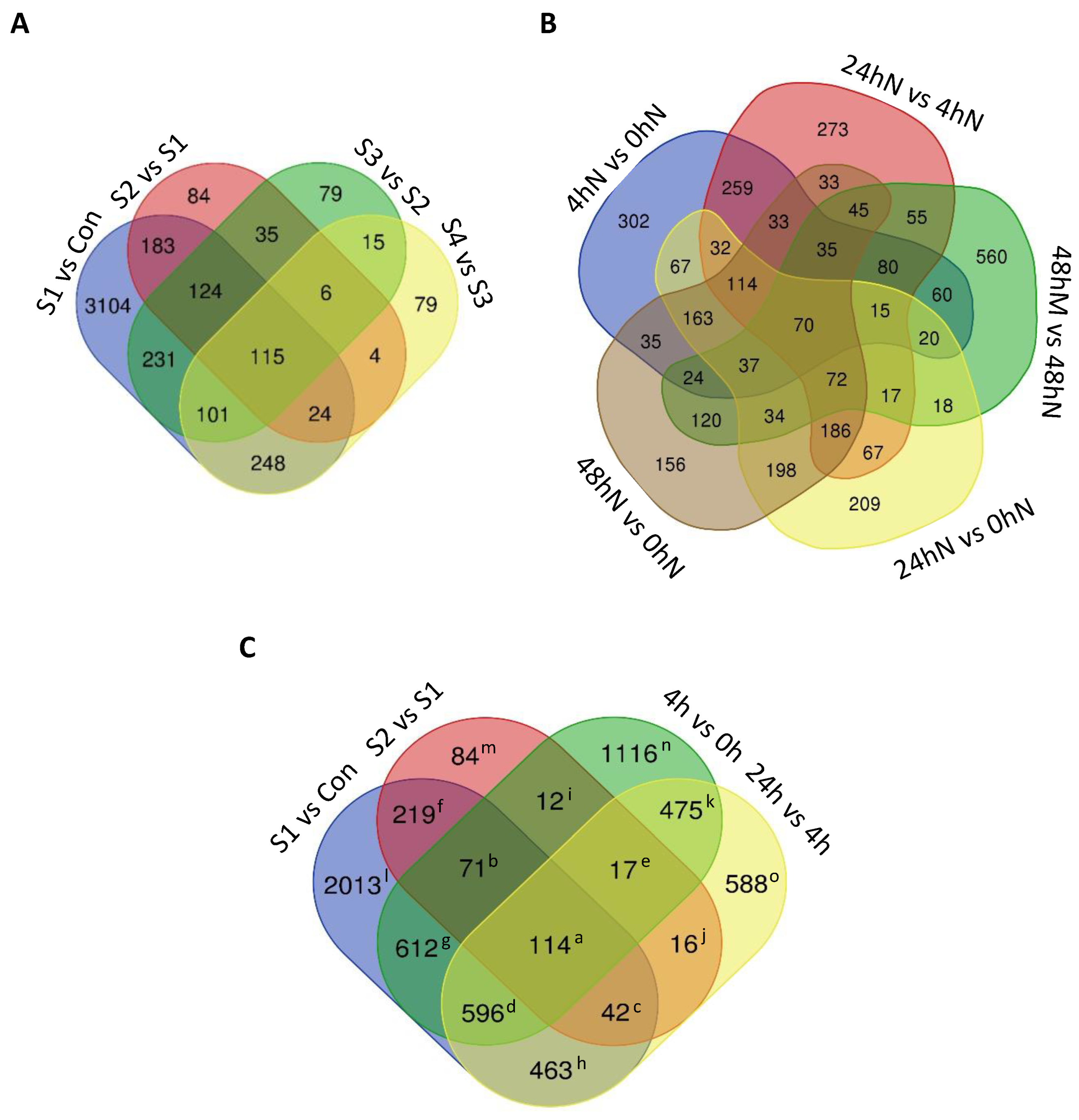 Plants 11 01643 g004
