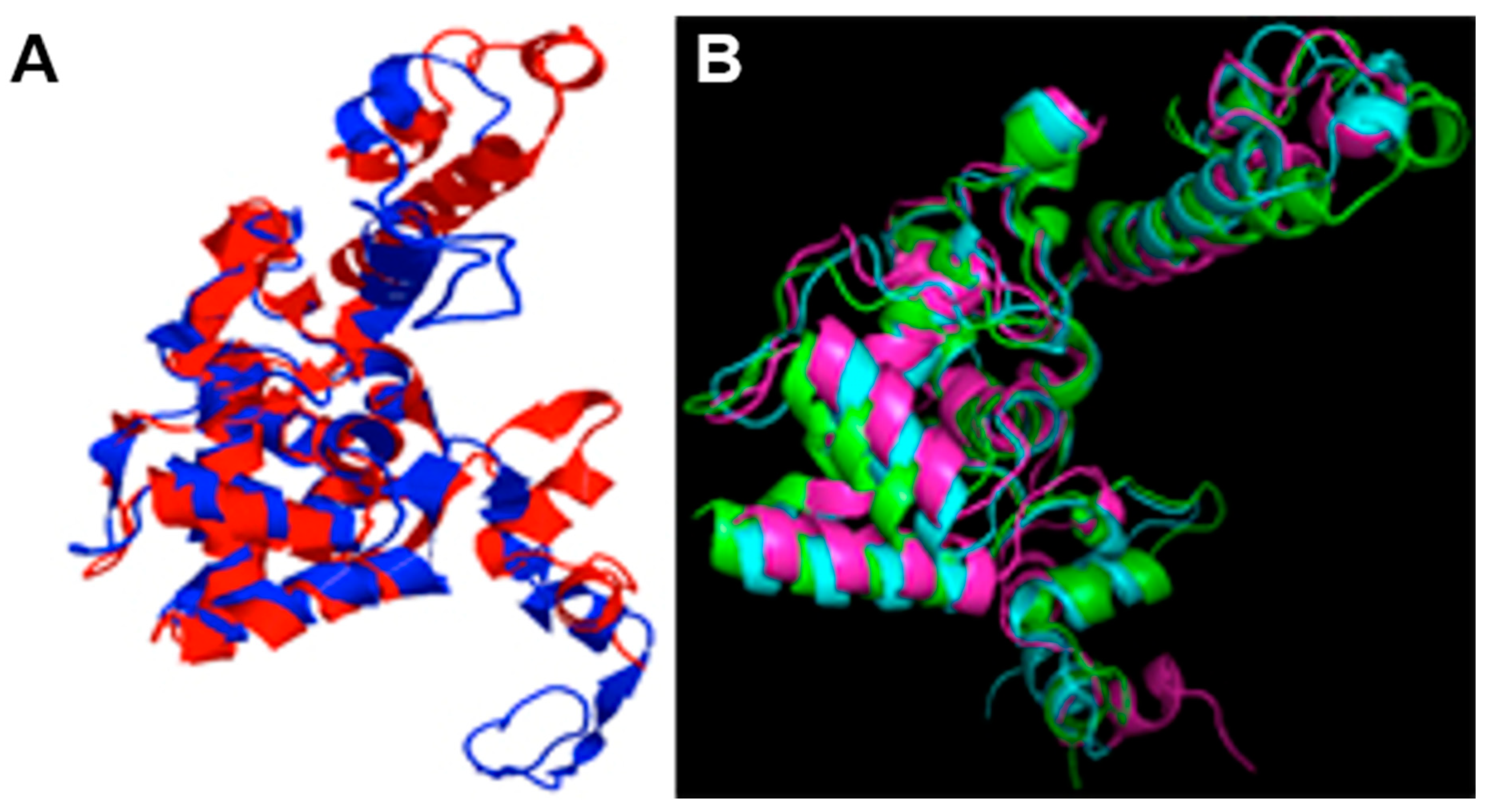 Plants 11 01646 g004