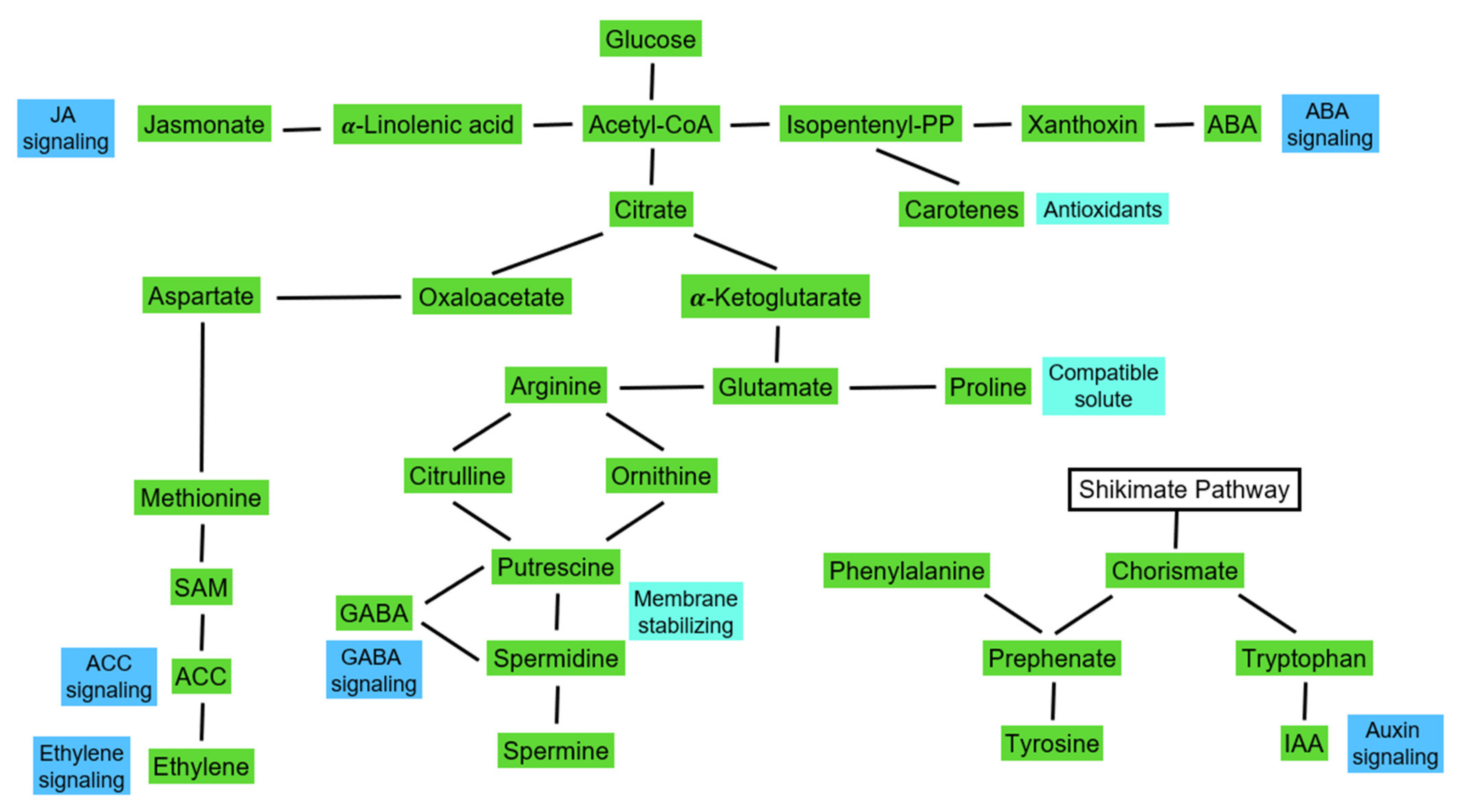 Plants 11 01654 g005