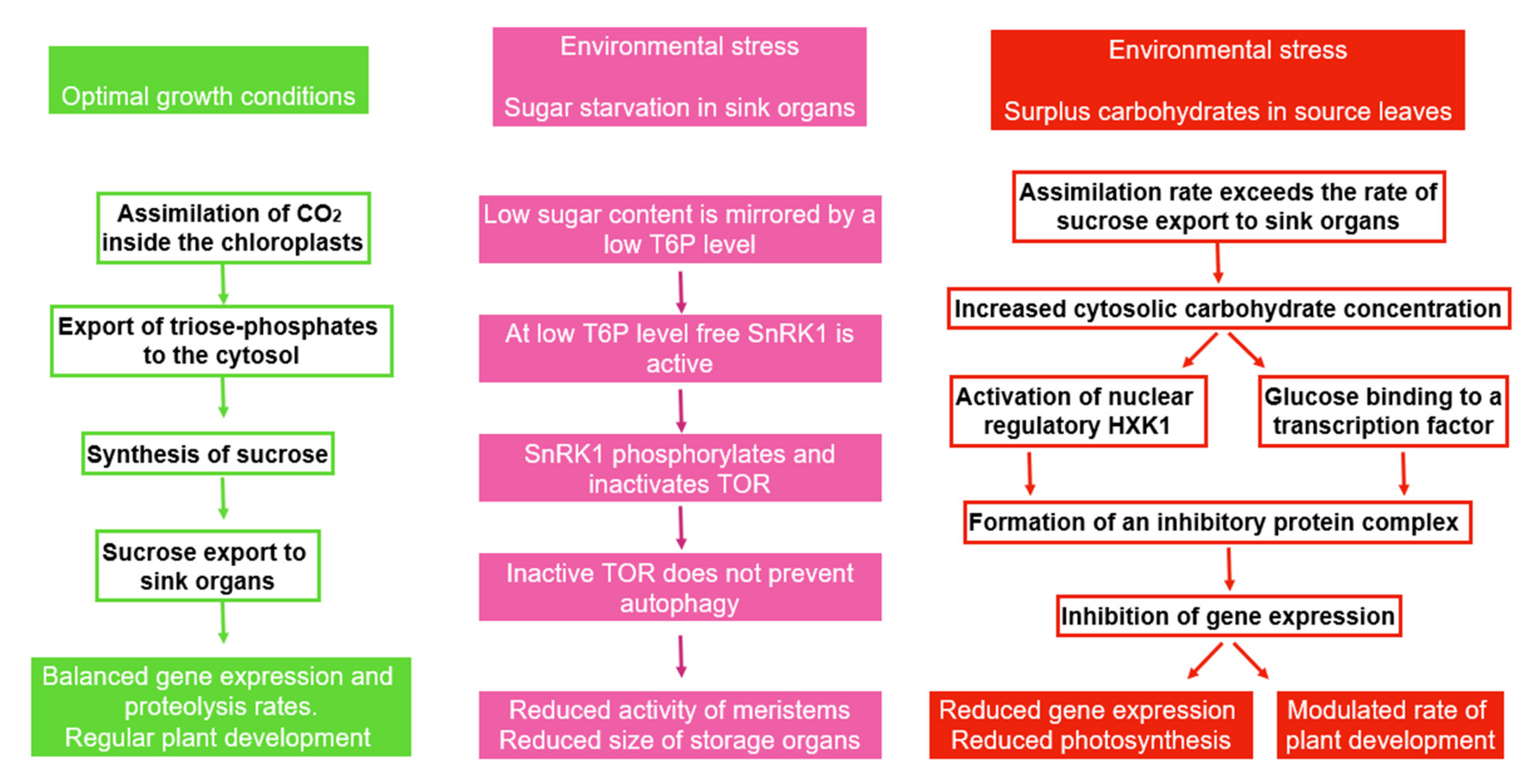 Plants 11 01654 g008