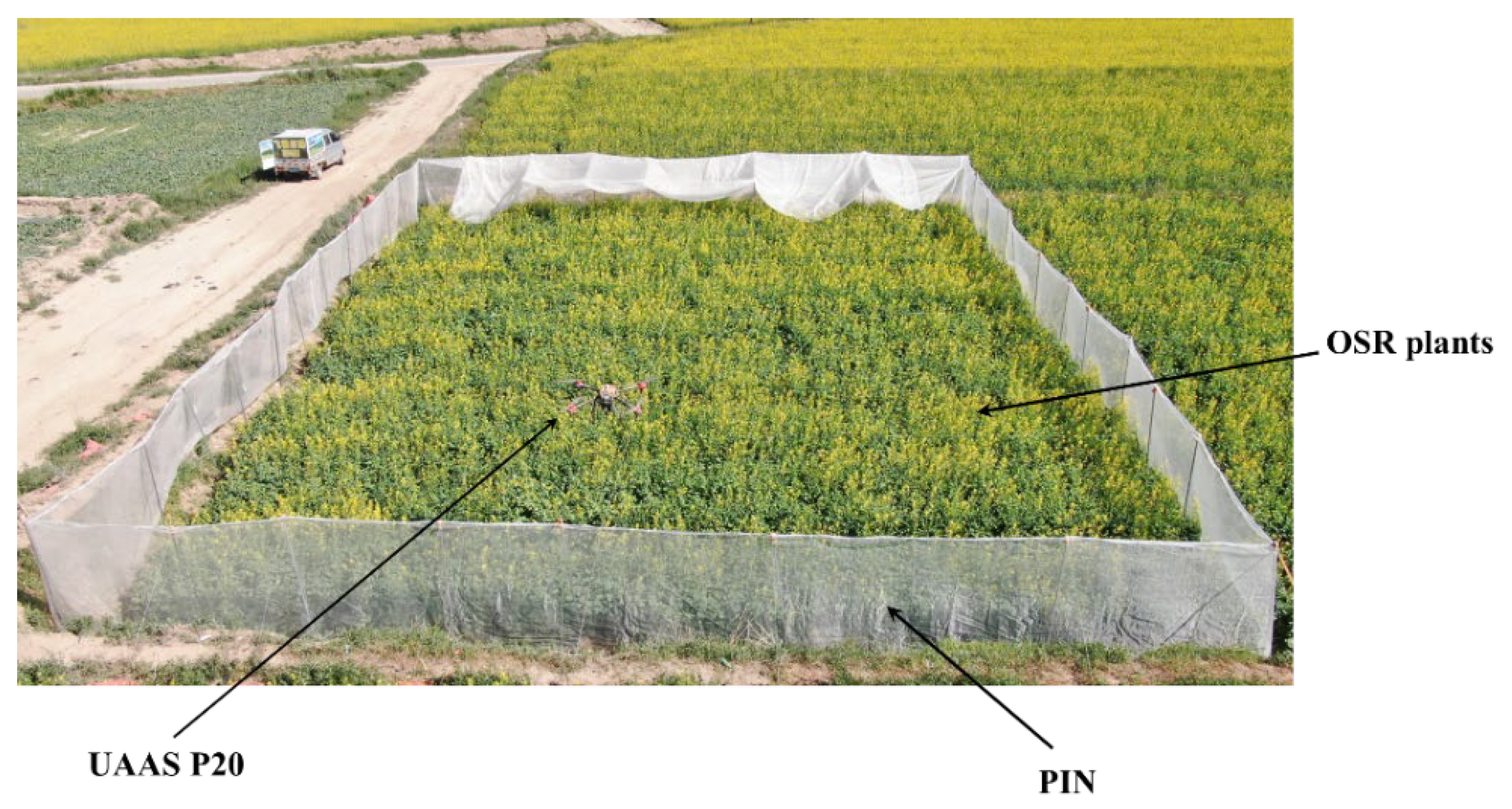 Plants 11 01677 g001