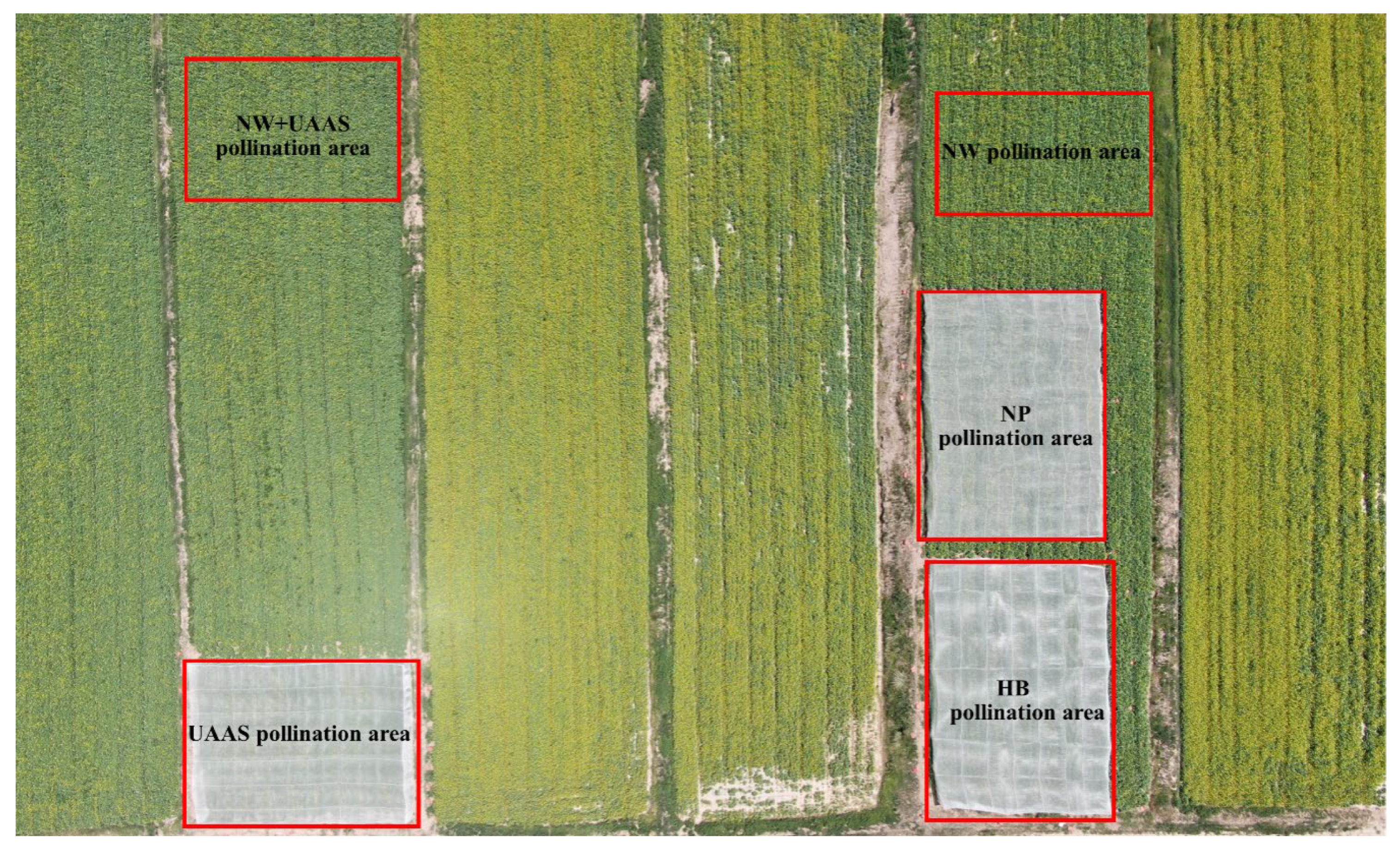 Plants 11 01677 g002