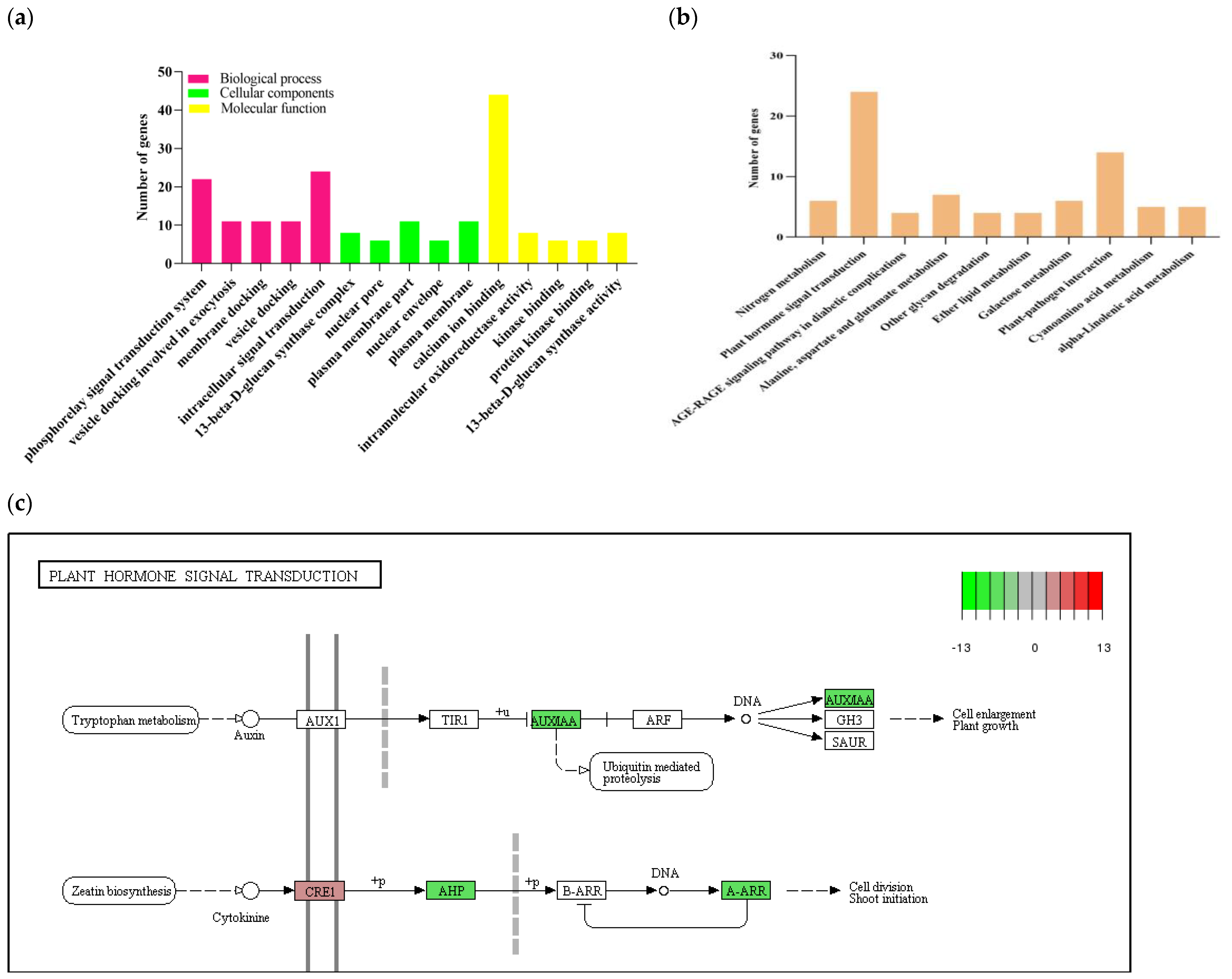 Plants 11 01679 g005