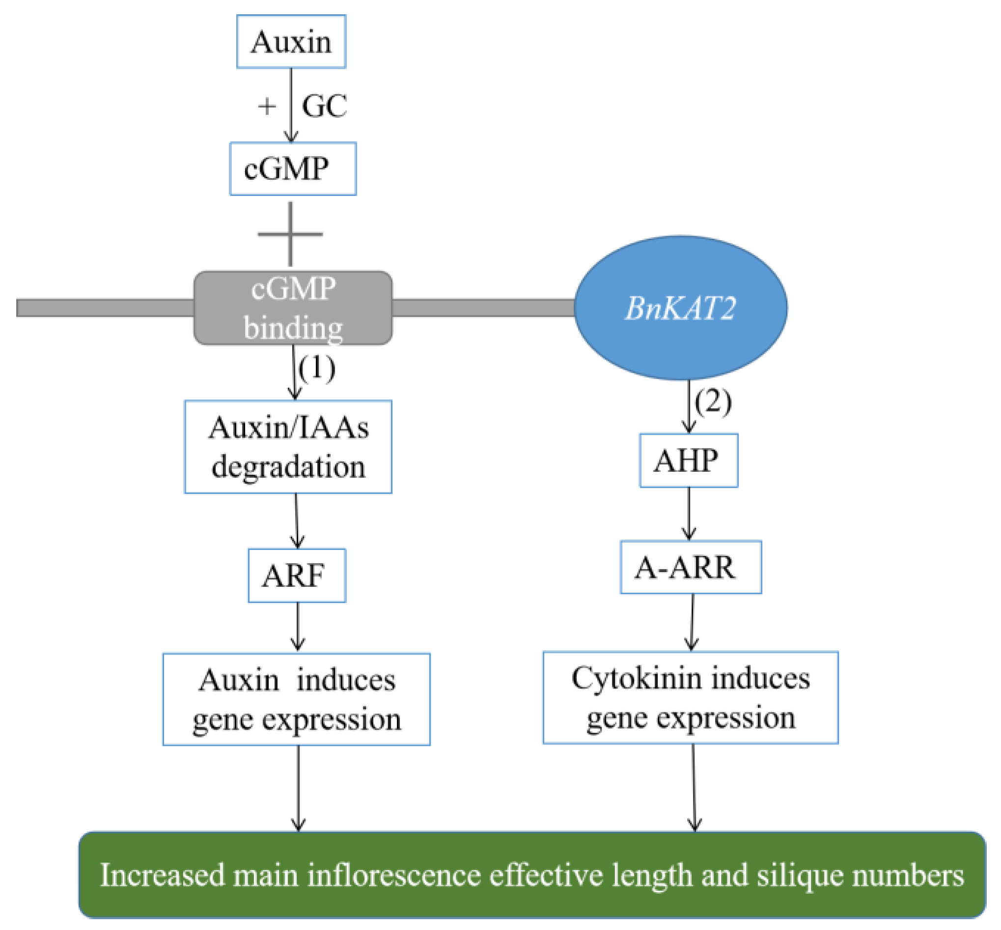 Plants 11 01679 g007