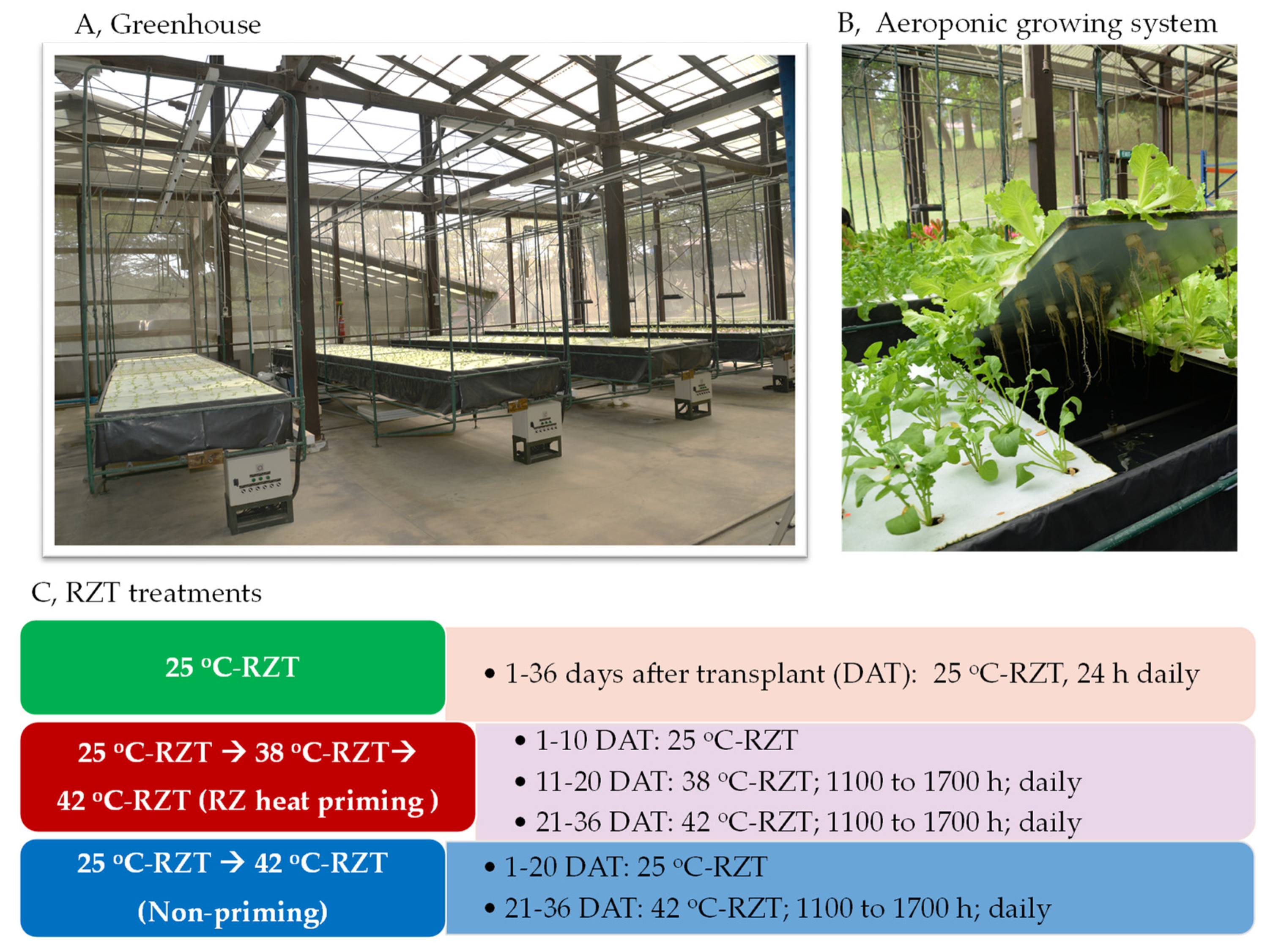 Plants 11 01684 g008