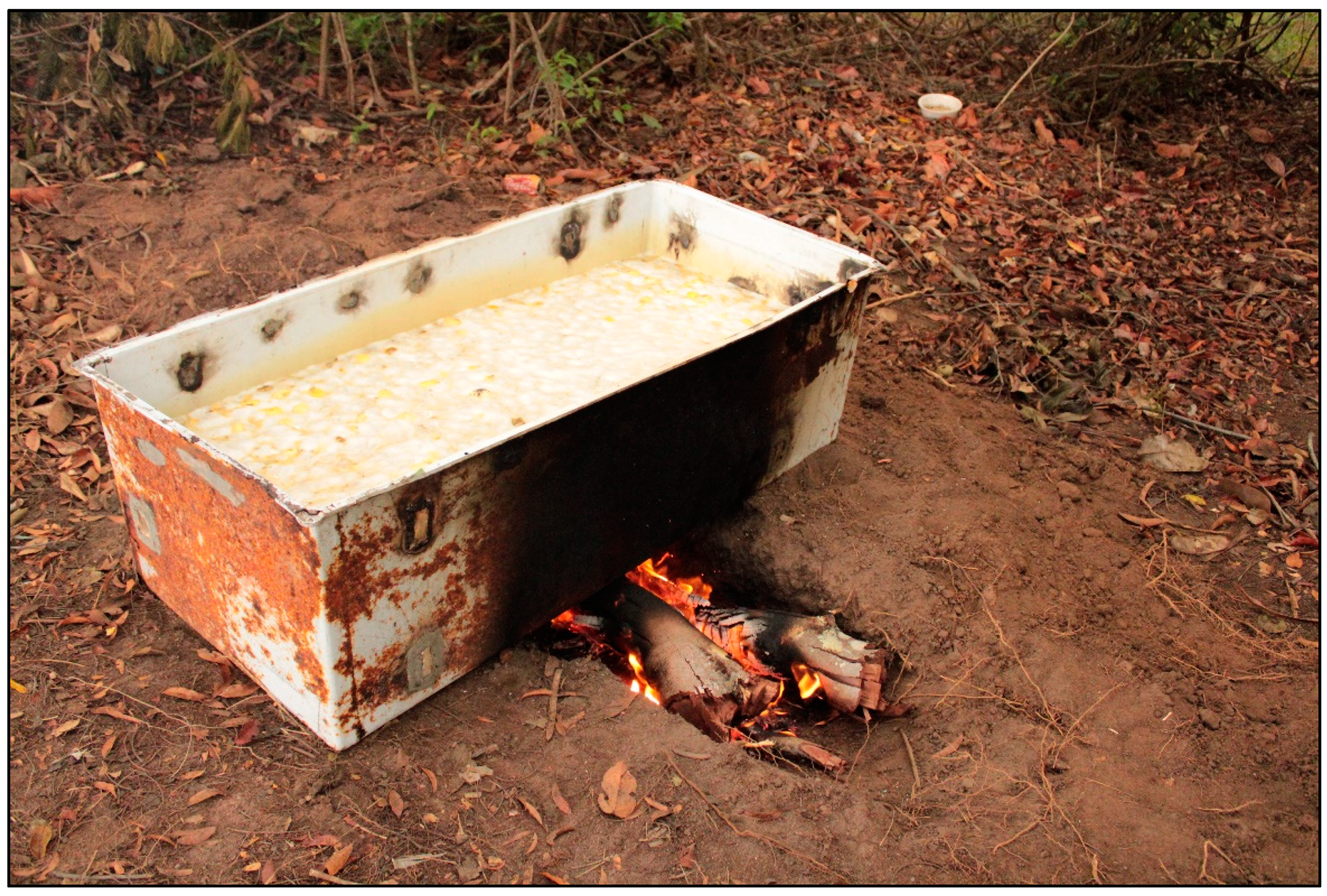 Plants 11 01685 g004