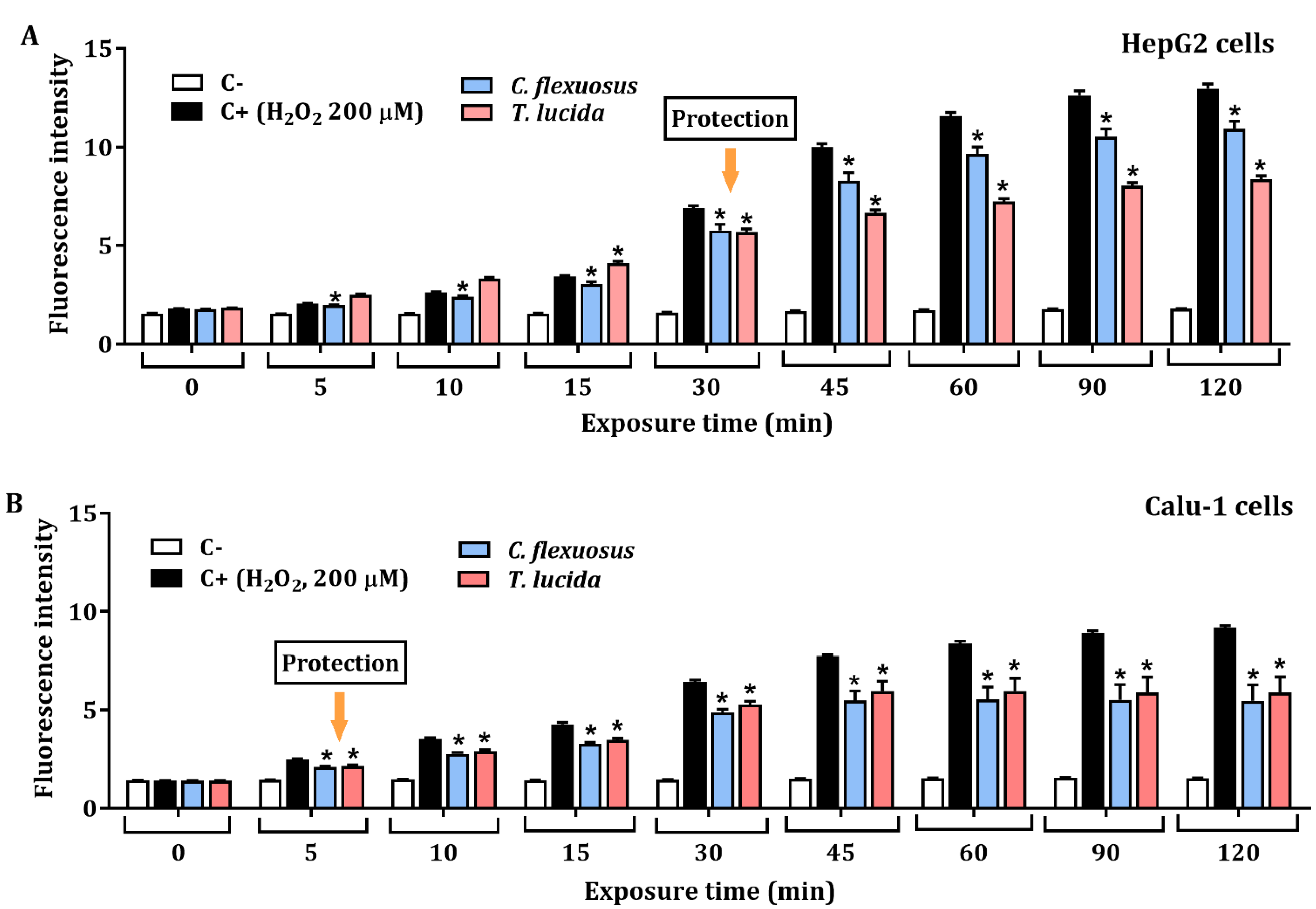 Plants 11 01693 g003