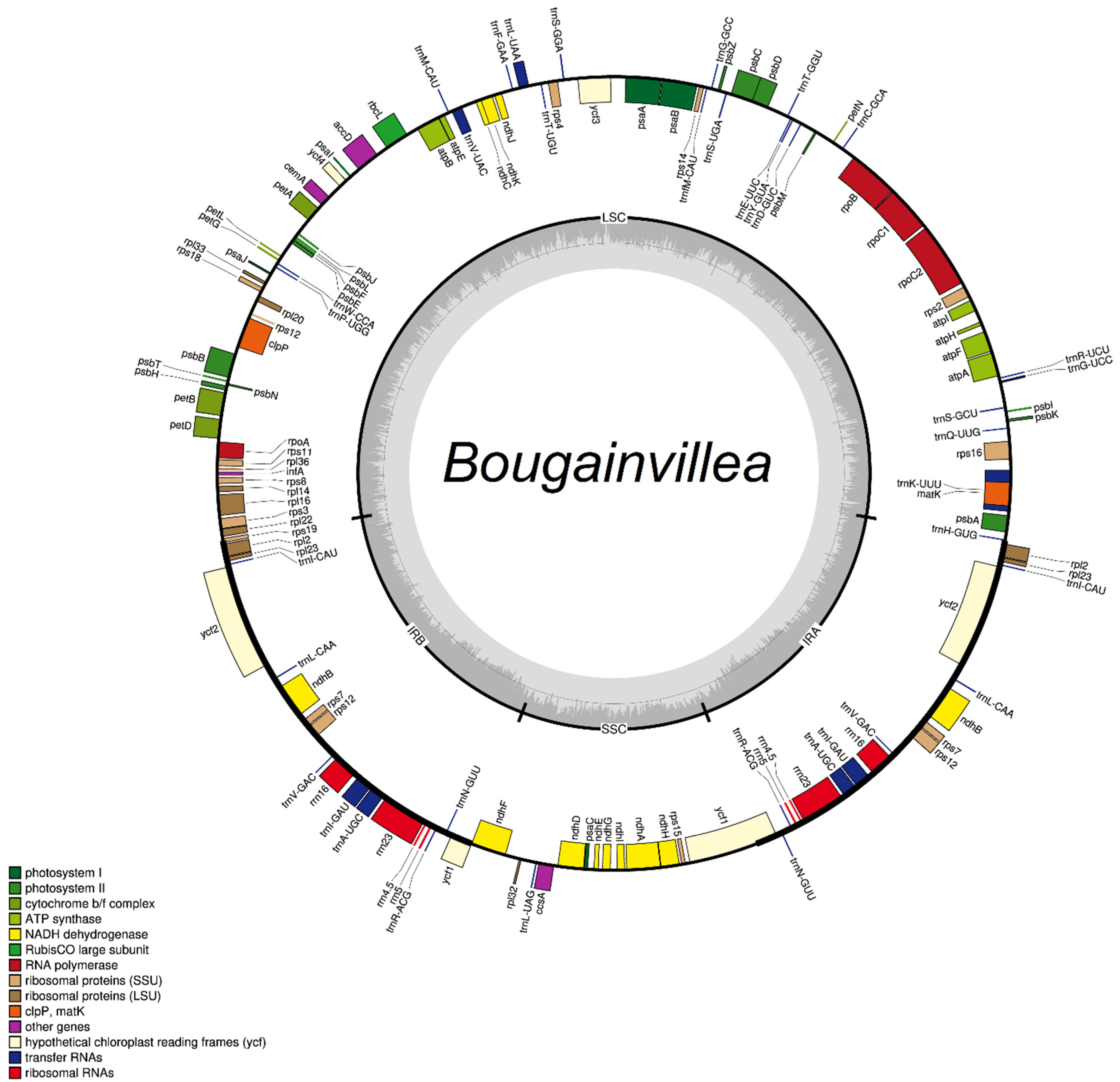 Plants 11 01700 g001