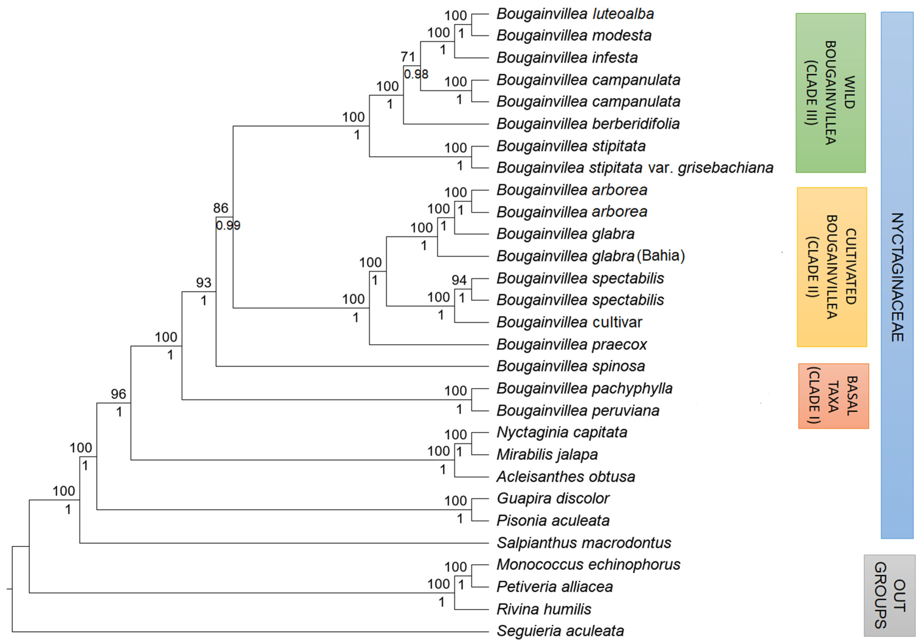 Plants 11 01700 g004