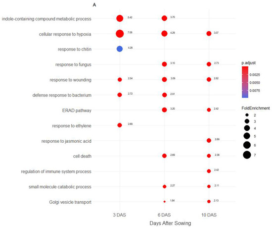 Plants 11 01708 g002a 550