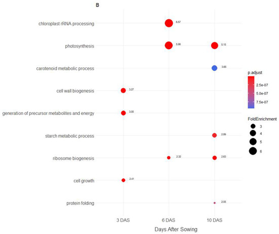 Plants 11 01708 g002b 550