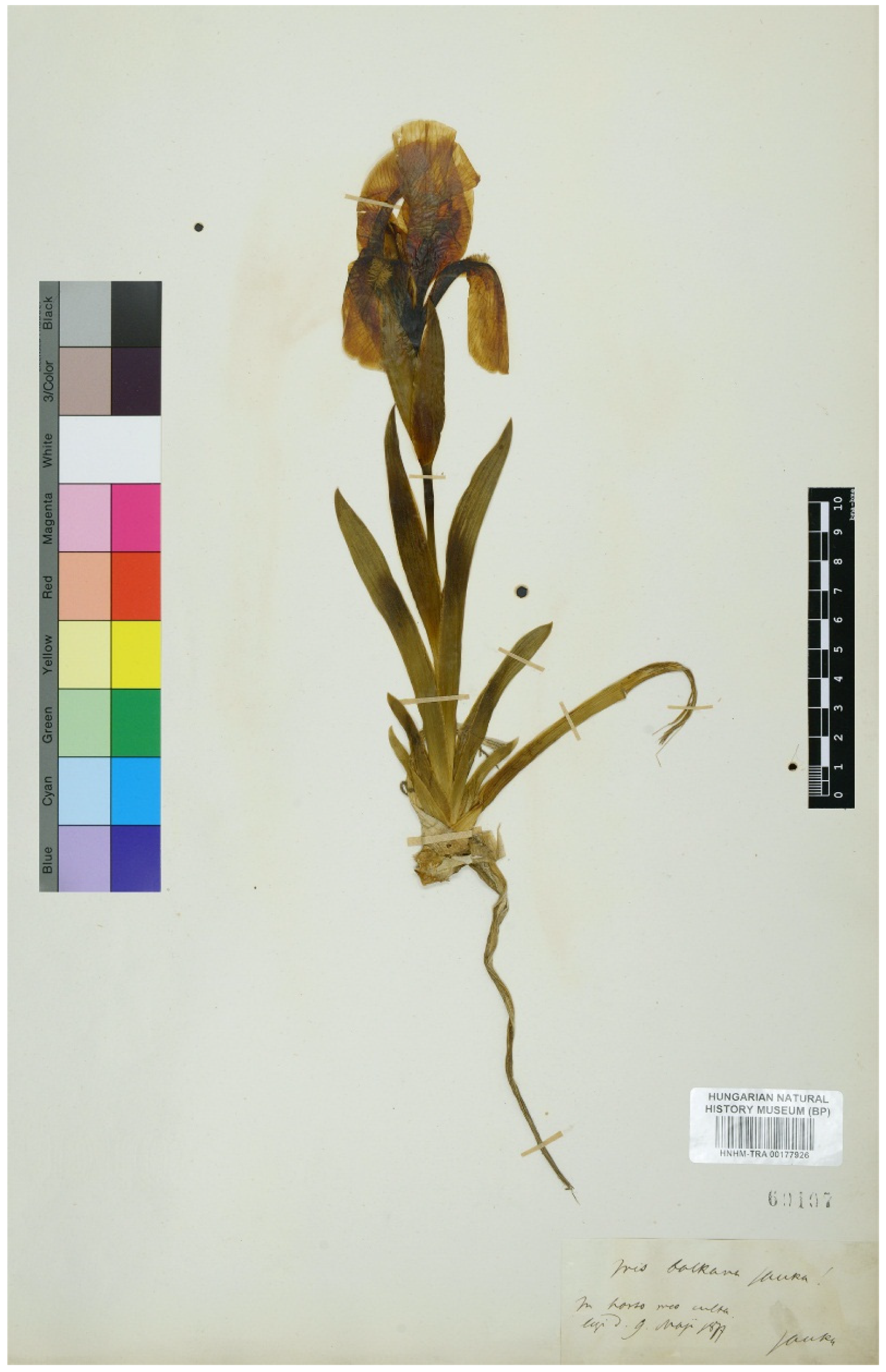 Plants 11 01714 g002 Plants 11 01714 g002