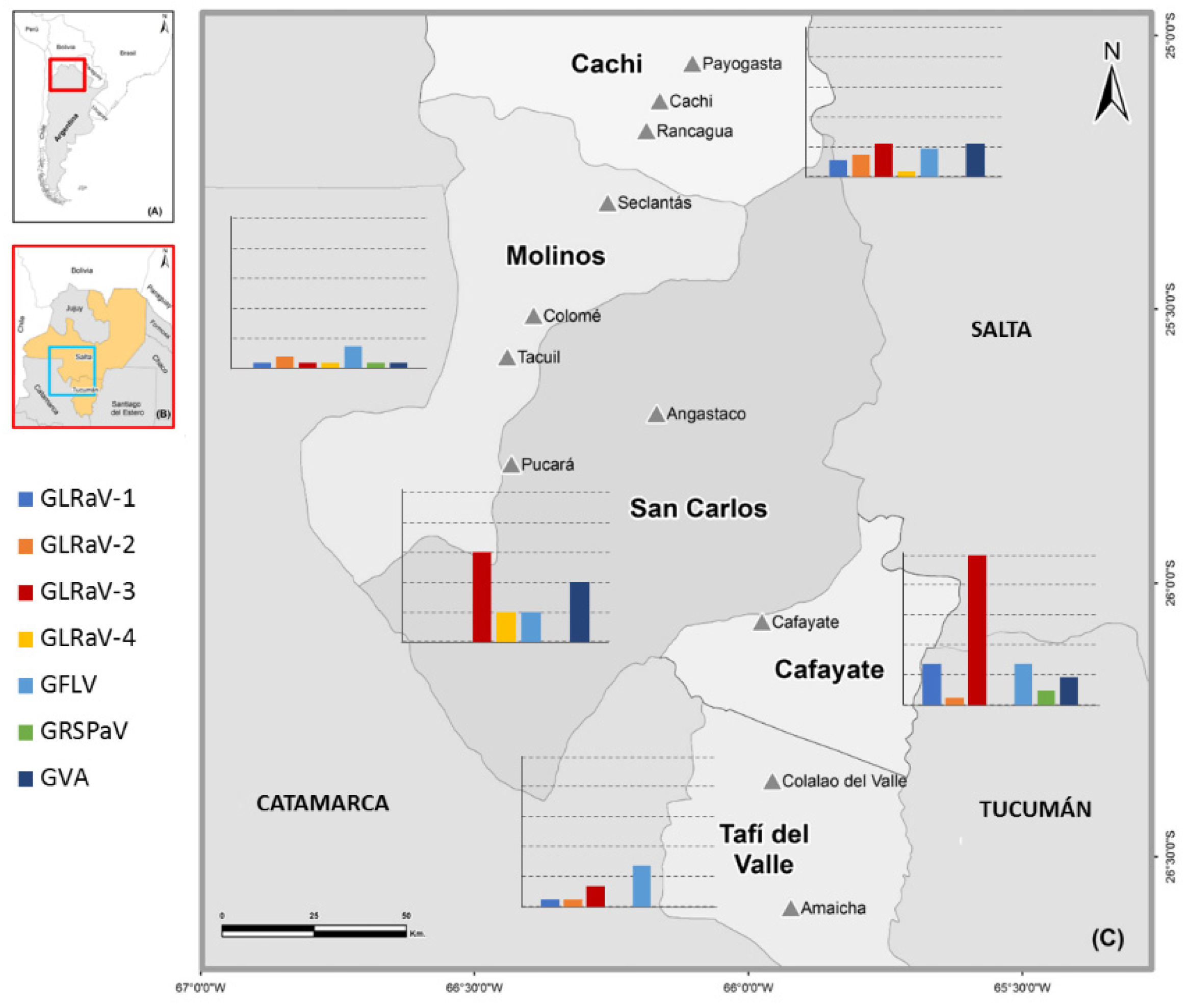 Plants 11 01720 g001