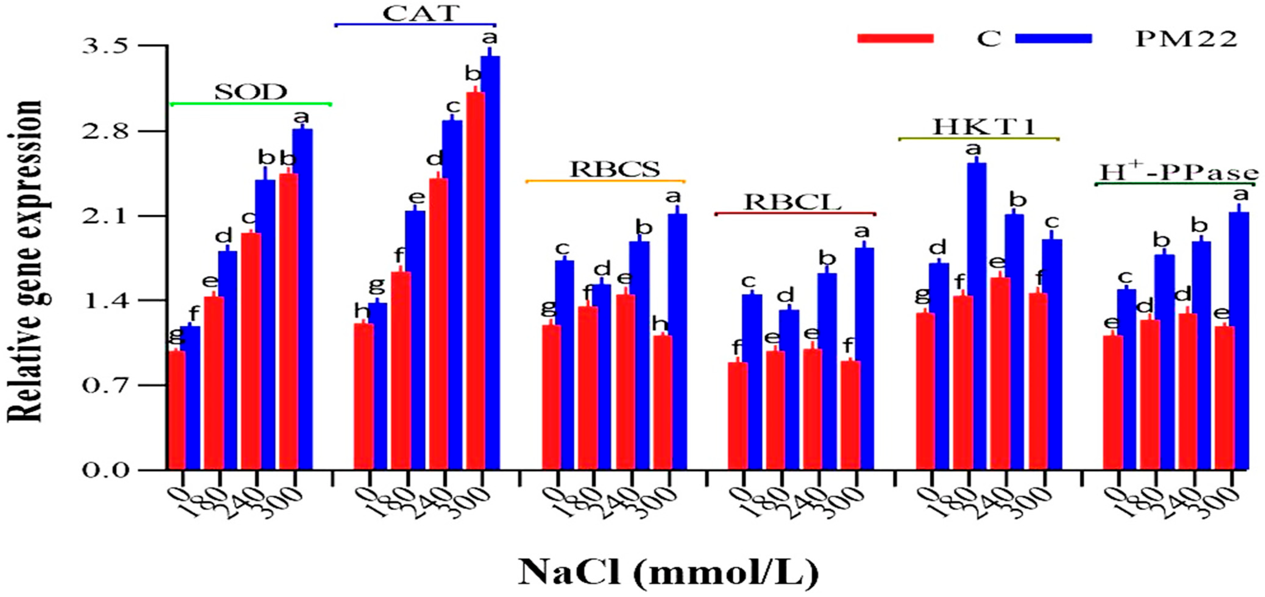 Plants 11 01721 g007