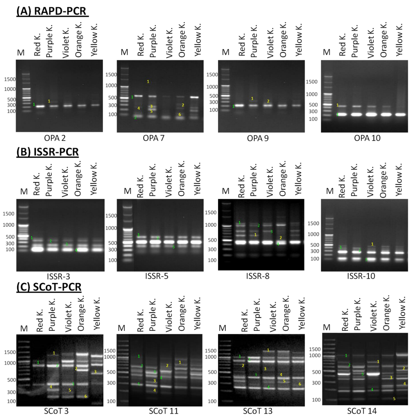 Plants 11 01722 g003