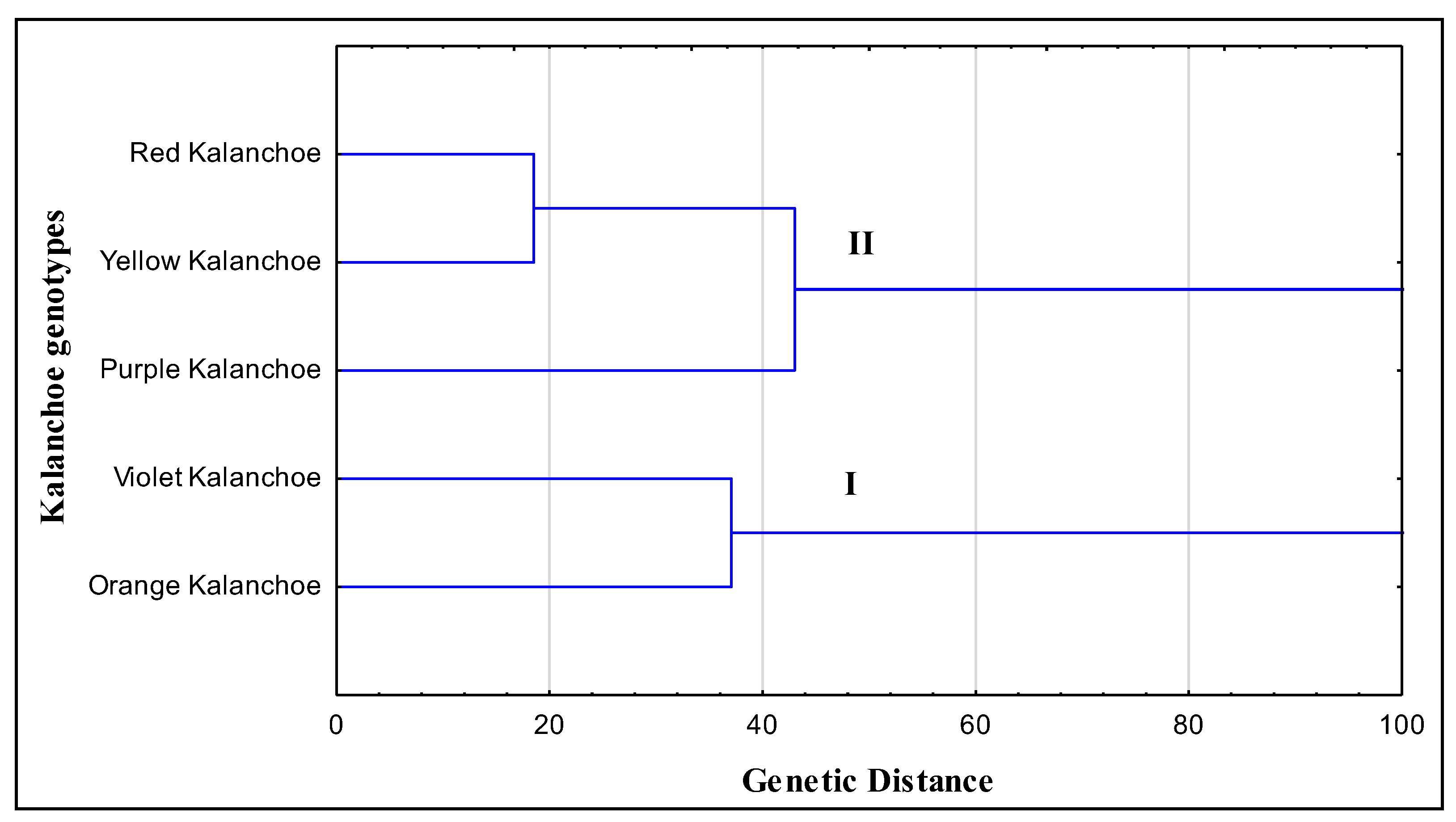 Plants 11 01722 g004