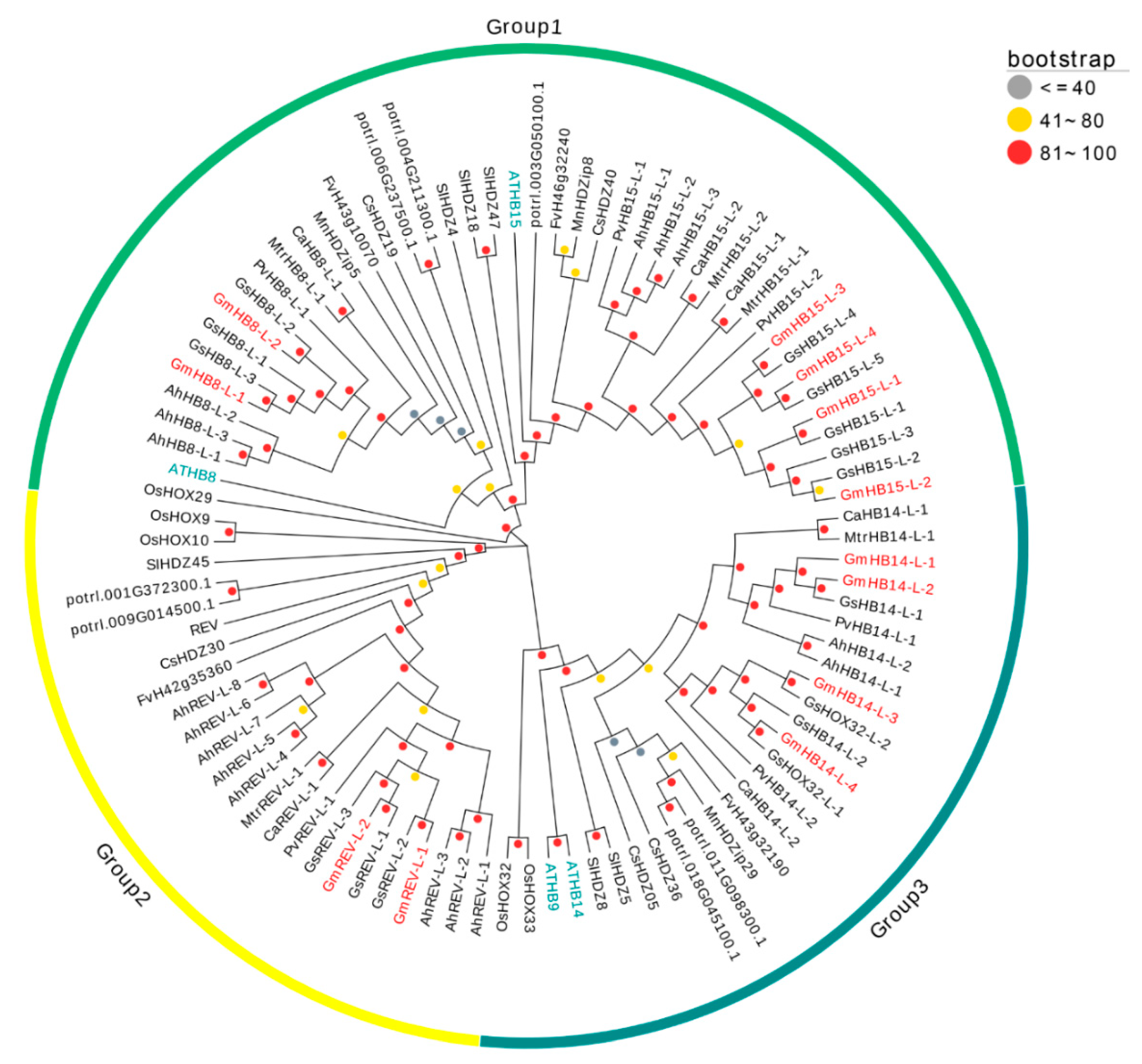 Plants 11 01728 g001