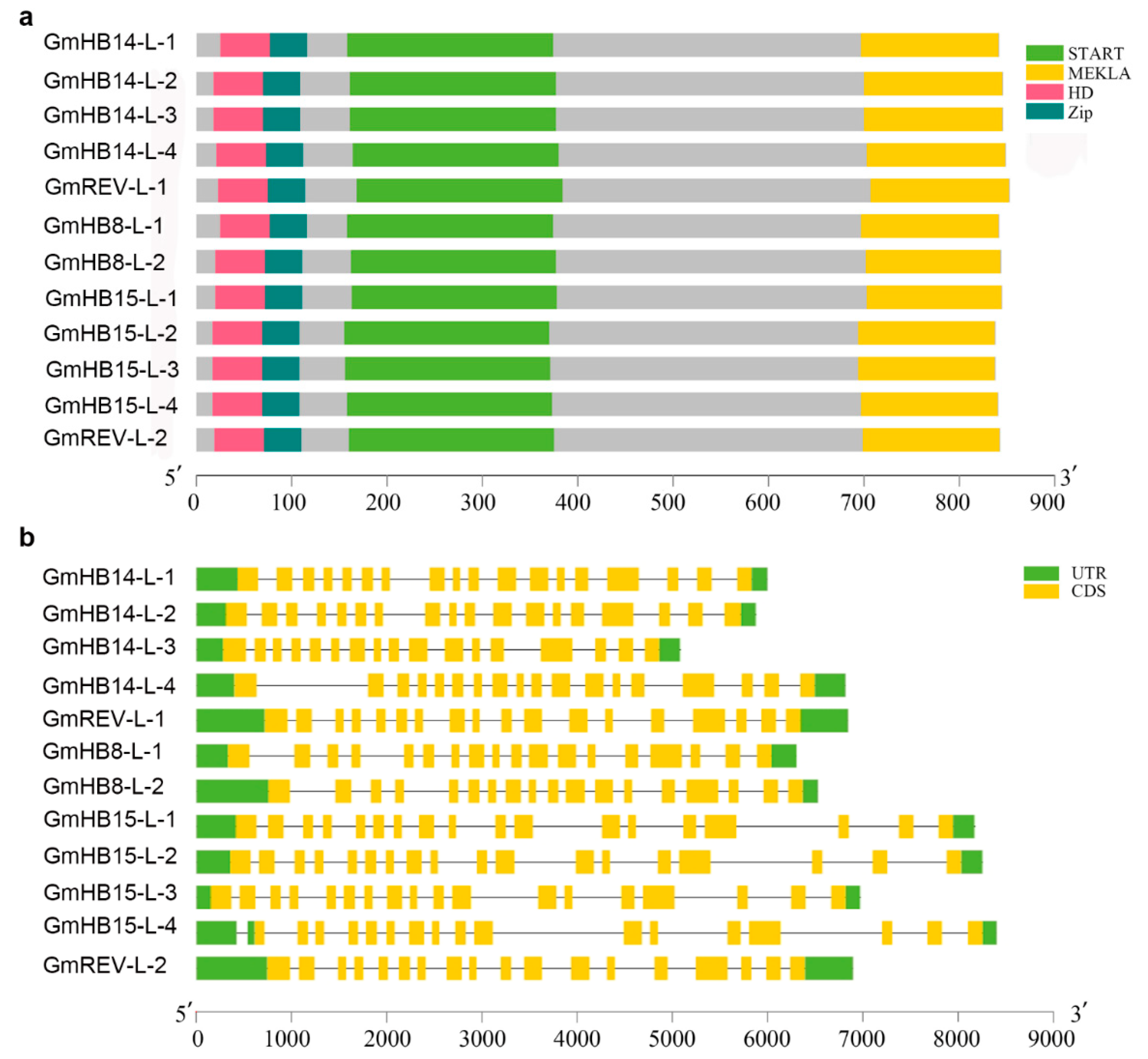 Plants 11 01728 g002