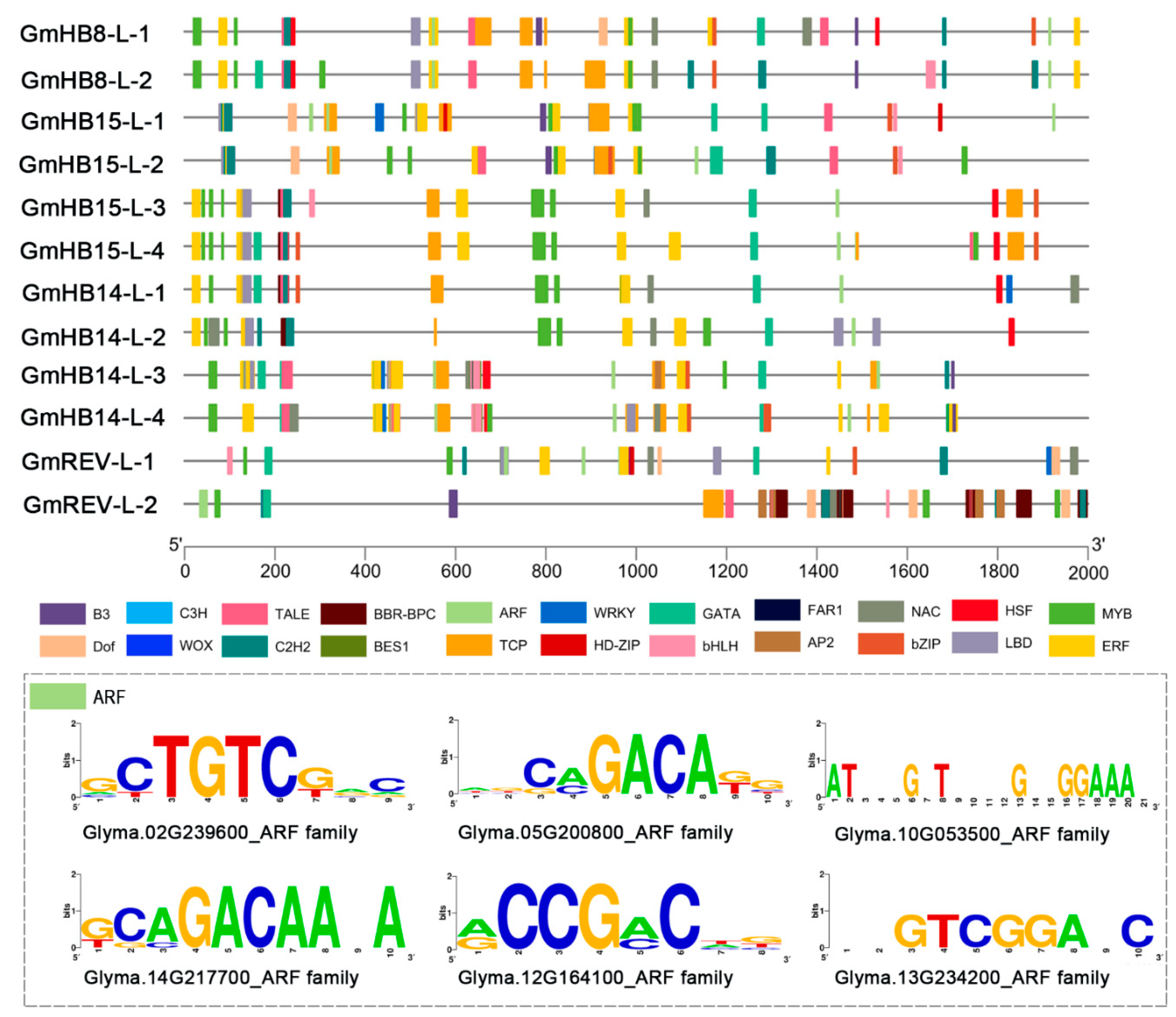 Plants 11 01728 g003