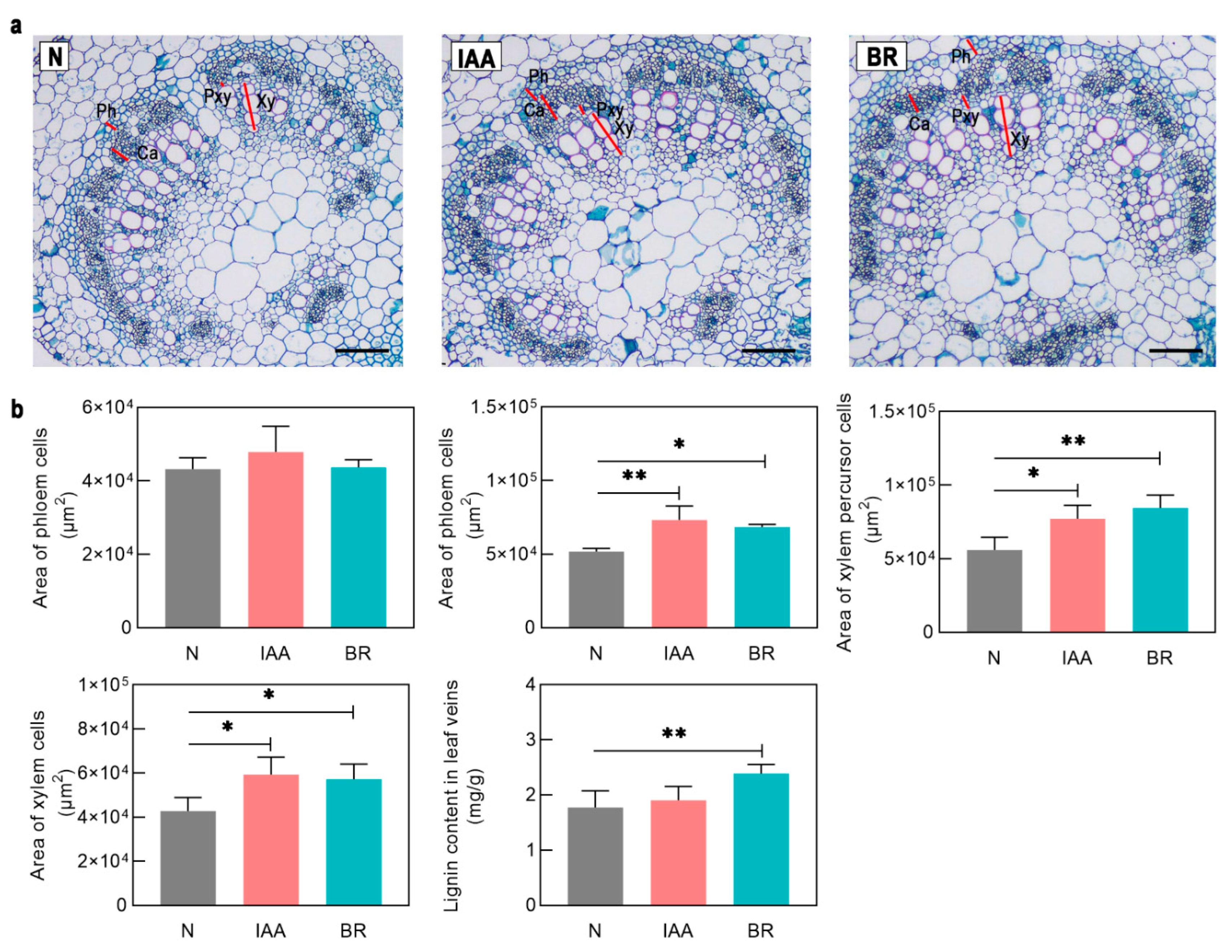 Plants 11 01728 g005